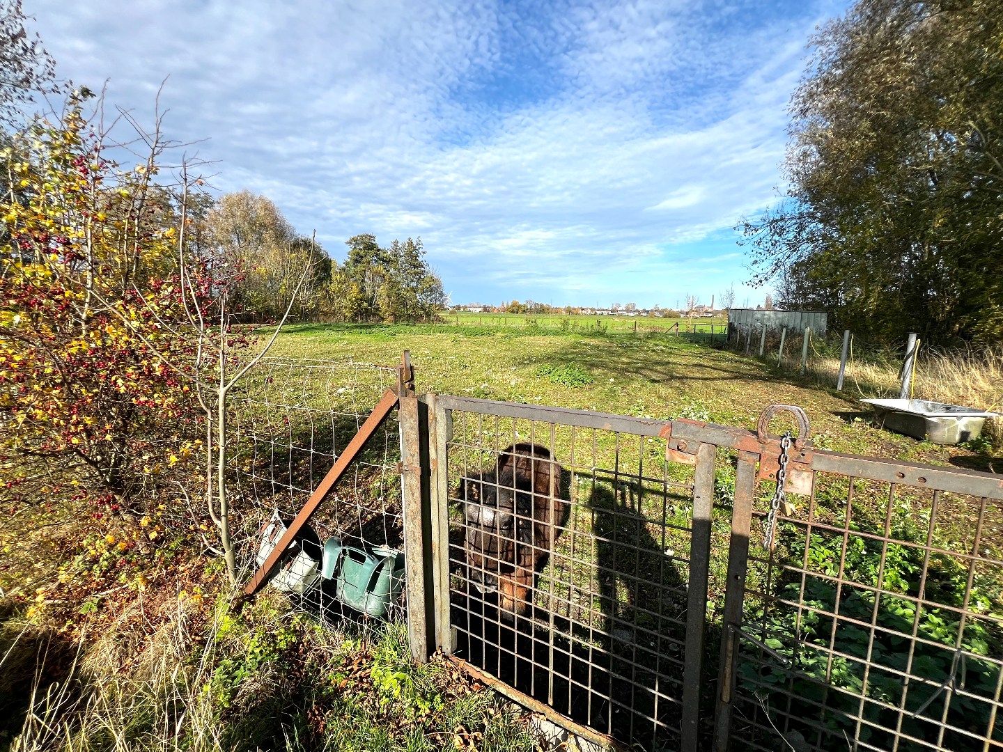 Weiland te koop – 3.160 m² – Zwevegem 🌿🐴 foto 3