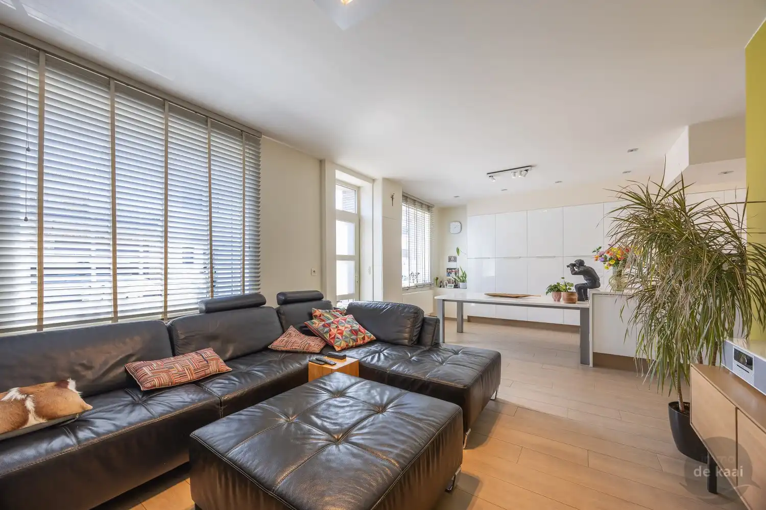 Huis te koop foto 8