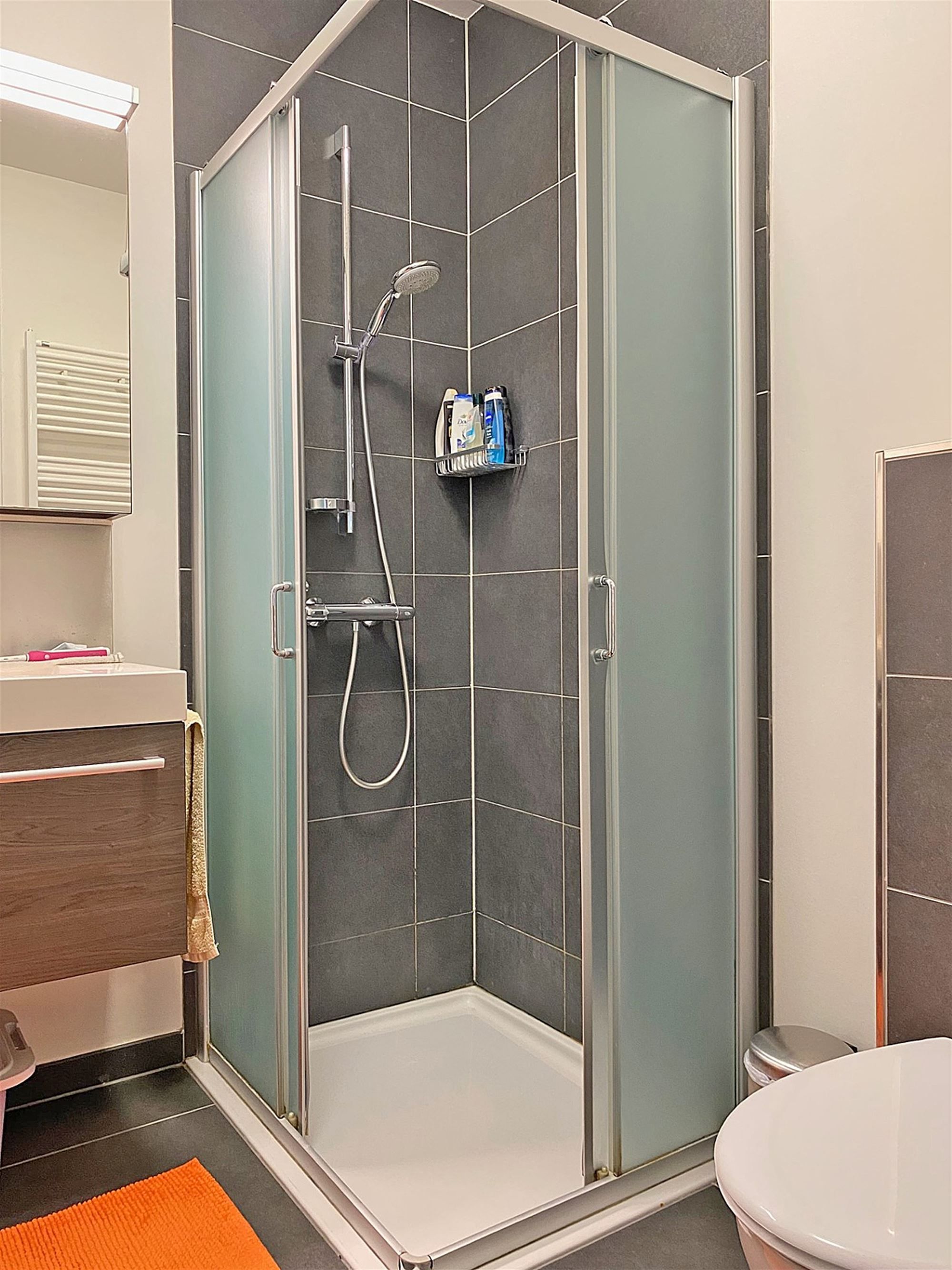 Gelijkvloers APPARTEMENT met 3 slpks, terras, kelderberging en overdekte autostaanplaats foto 9