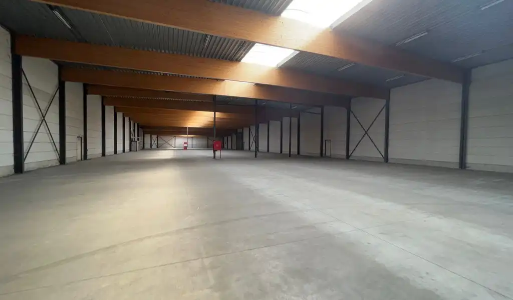 Gerenoveerd magazijn te huur aan A12 in Wilrijk foto 3