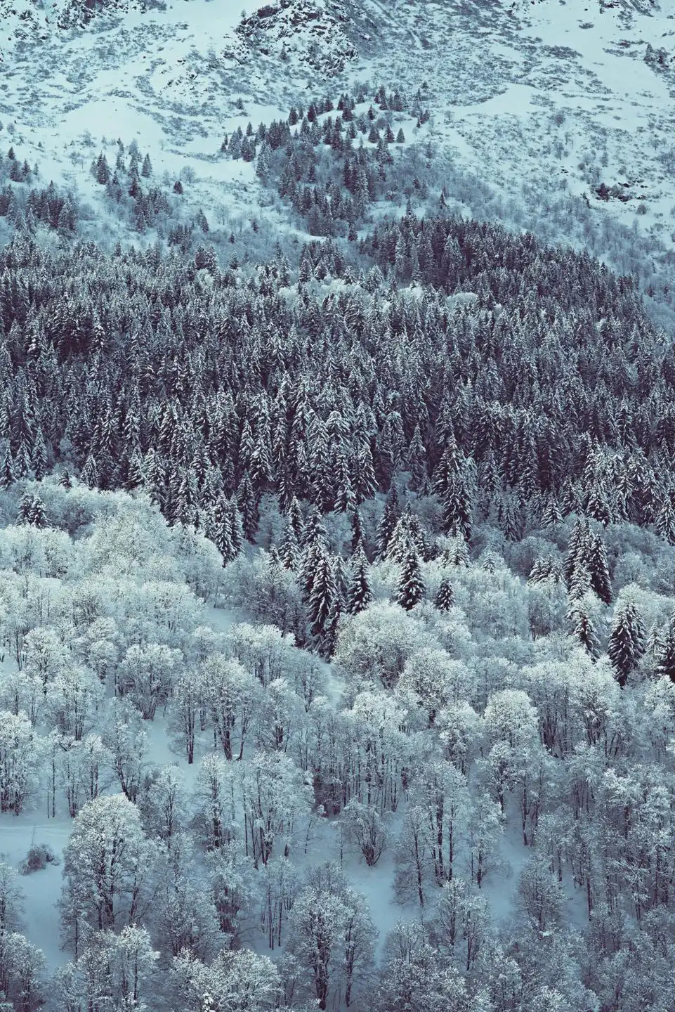 Savoie / MERIBEL / Antarès / Les Allues foto 13