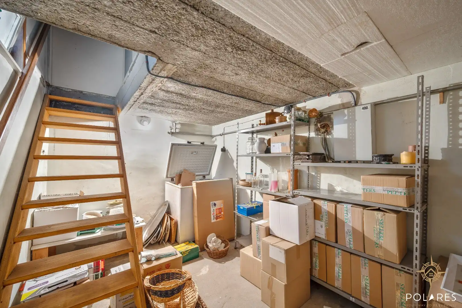 Ruime open bebouwing op prachtig perceel van 17a61ca te Werchter. foto 19