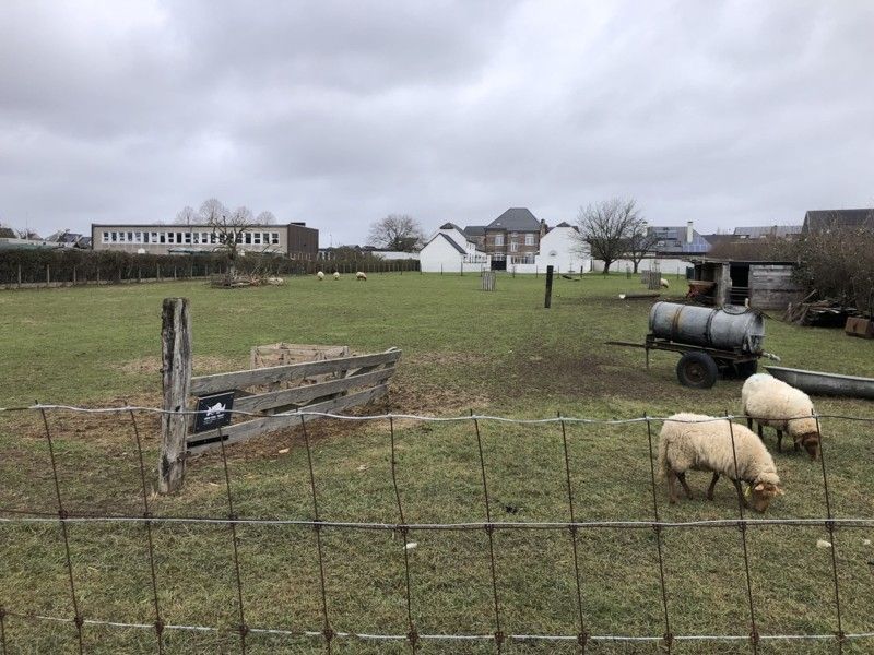 Een perceel grond gelegen in woongebied te Denderhoutem, nabij de Pastorijweg foto 1