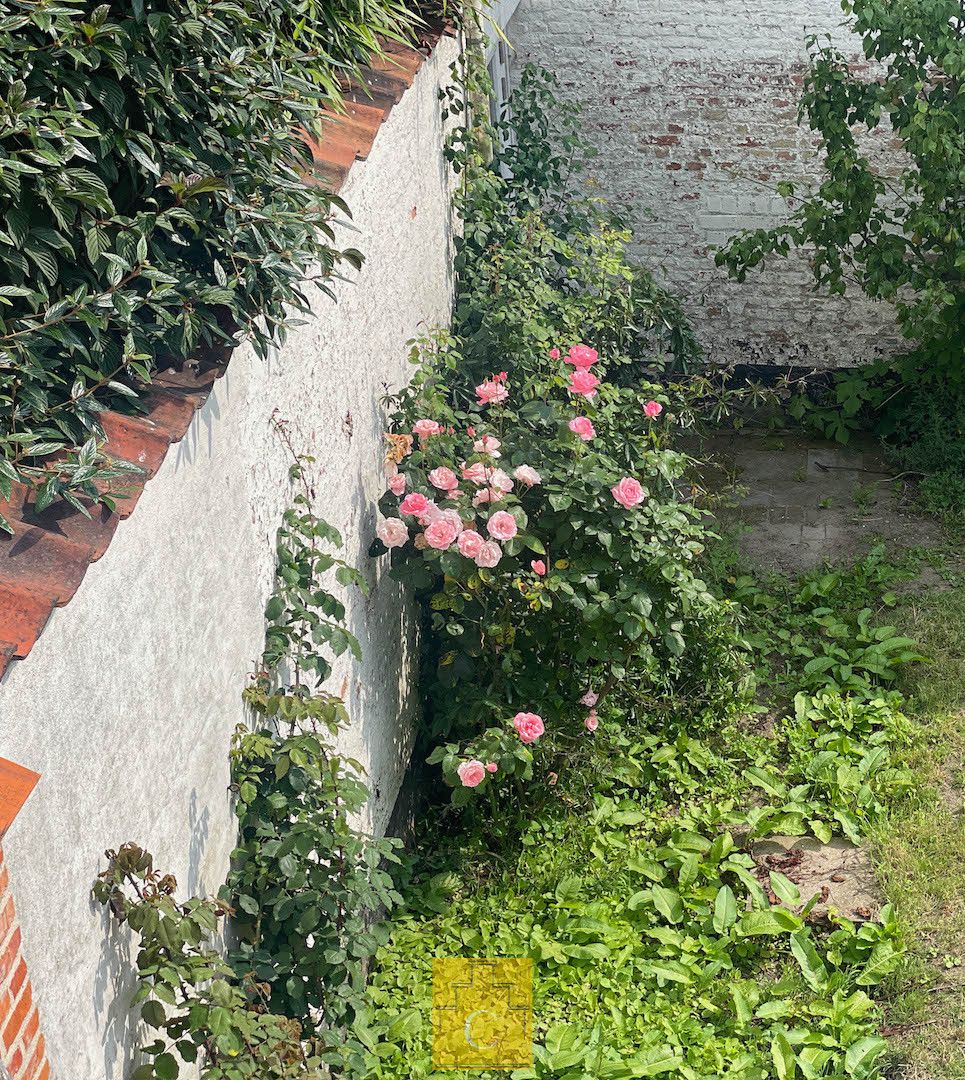 Breedhuis op een schilderachtige en stille ligging in het hart van de binnenstad, met flinke garage en grote stadstuin foto 21