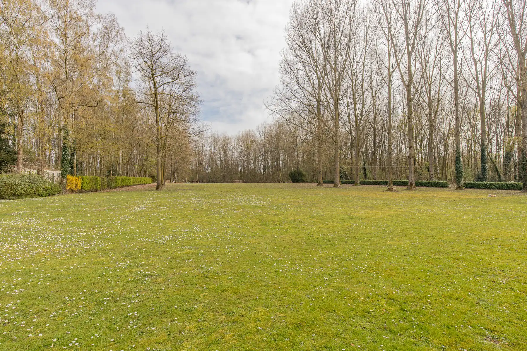 Woning op unieke ligging van 5 hectare foto 22