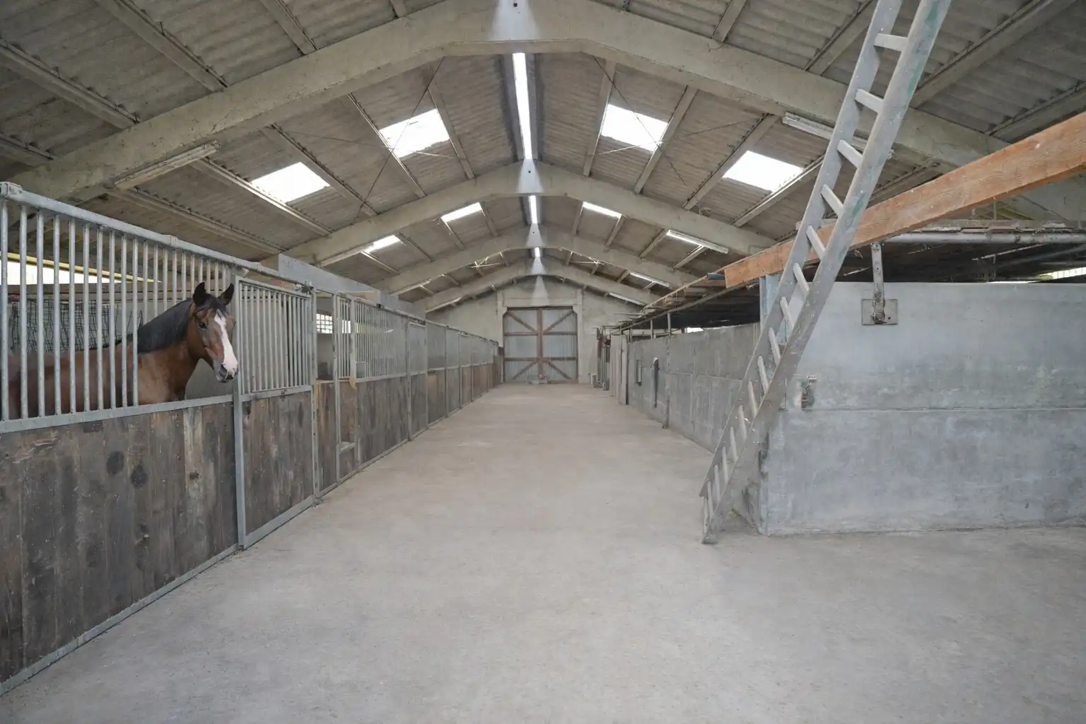 KIJKDAG ZATERDAG 21/03 VAN 10U TOT 12U! foto 23