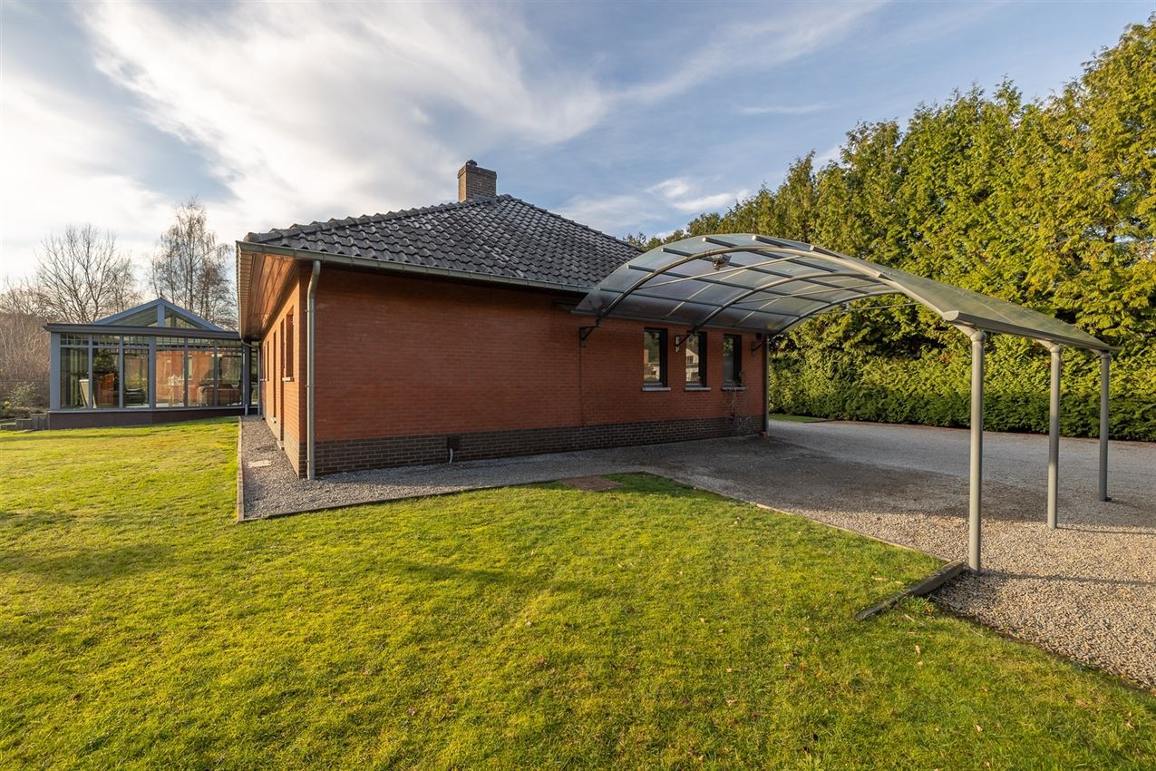 verborgen parel in het groen foto 54