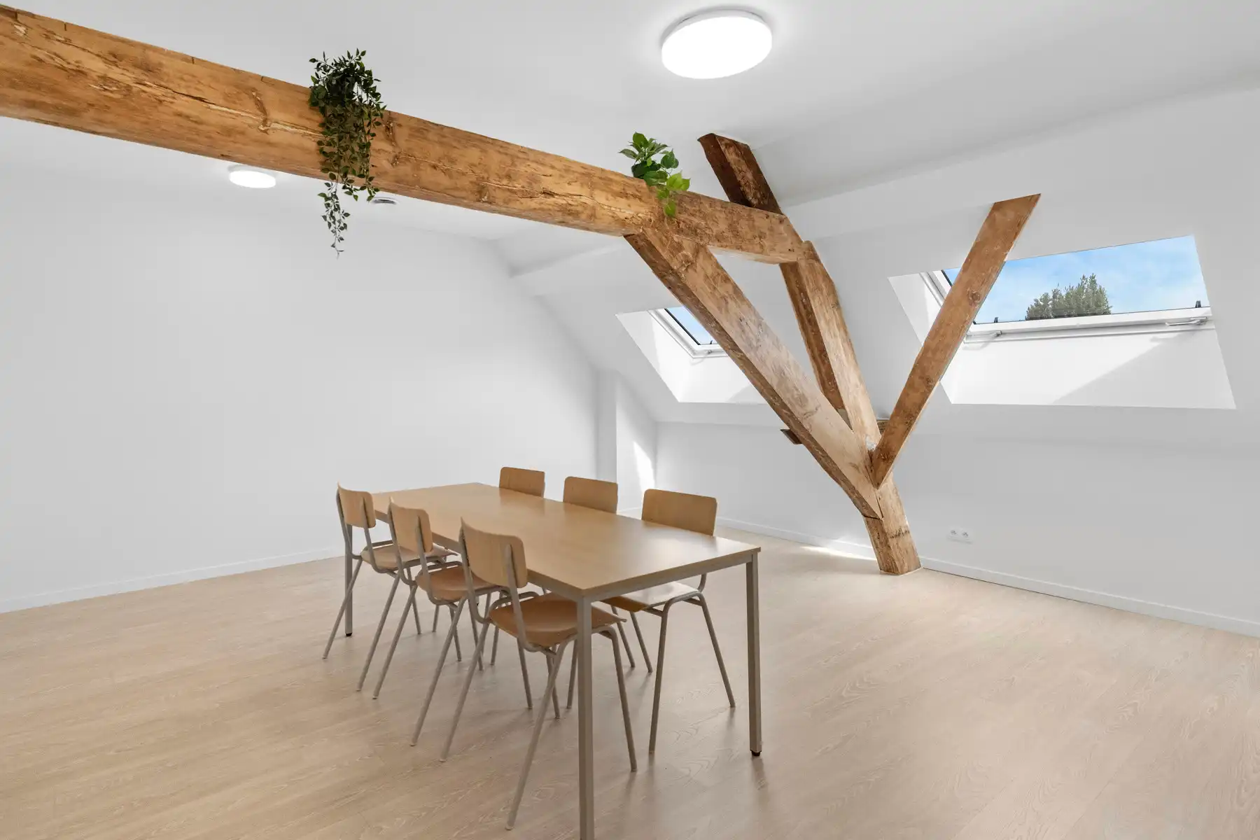 Nieuwe, verhuurde studentenhuisvesting te koop! foto 2