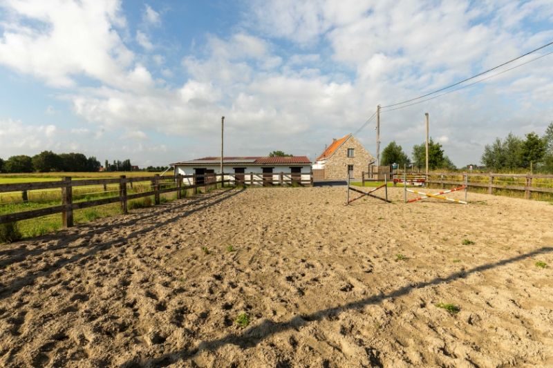 Groot-Diksmuide. Nieuwkapelle. Idyllisch gelegen charmante PAARDENHOEVE MET STALLINGEN, PADDOCK EN WEILAND gelegen in uitgestrekt natuurgebied en waterbeddingen.  UNIEK STUKJE PARADIJS foto 5