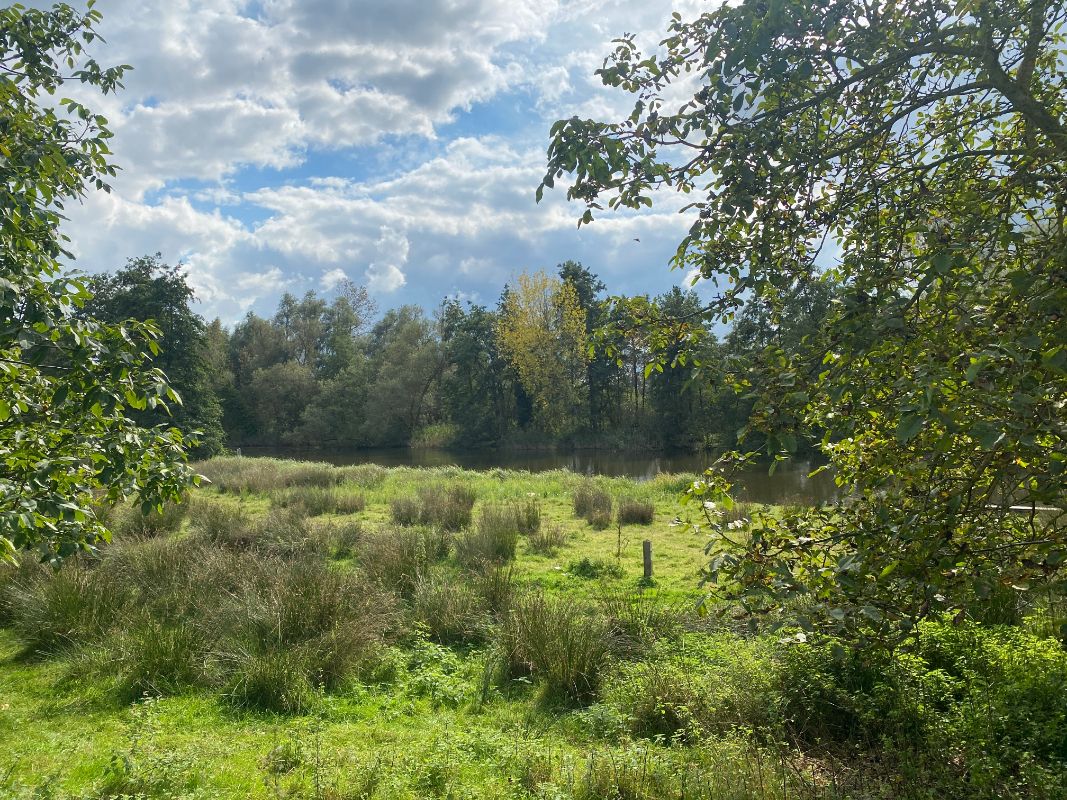 Hamme ( Moerzeke) - Hebbestraat 30B foto 11