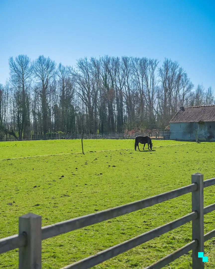 Charmante bungalow in het groene Oosterzele foto 30