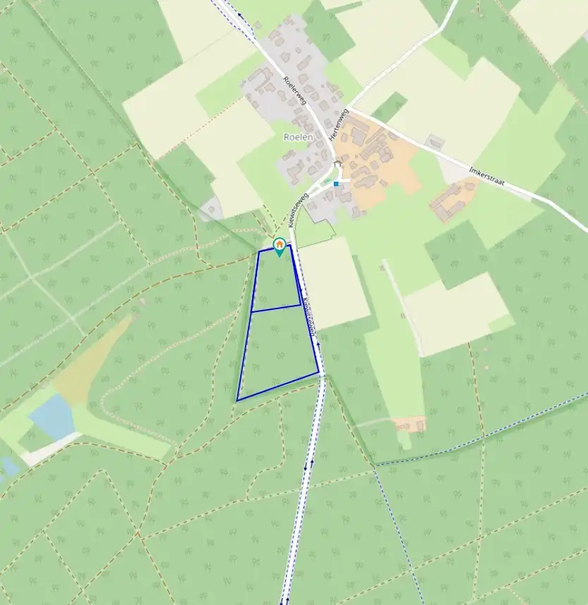 Uniek natuur- en bosperceel in de Roeler-Heide te Zutendaal foto 3