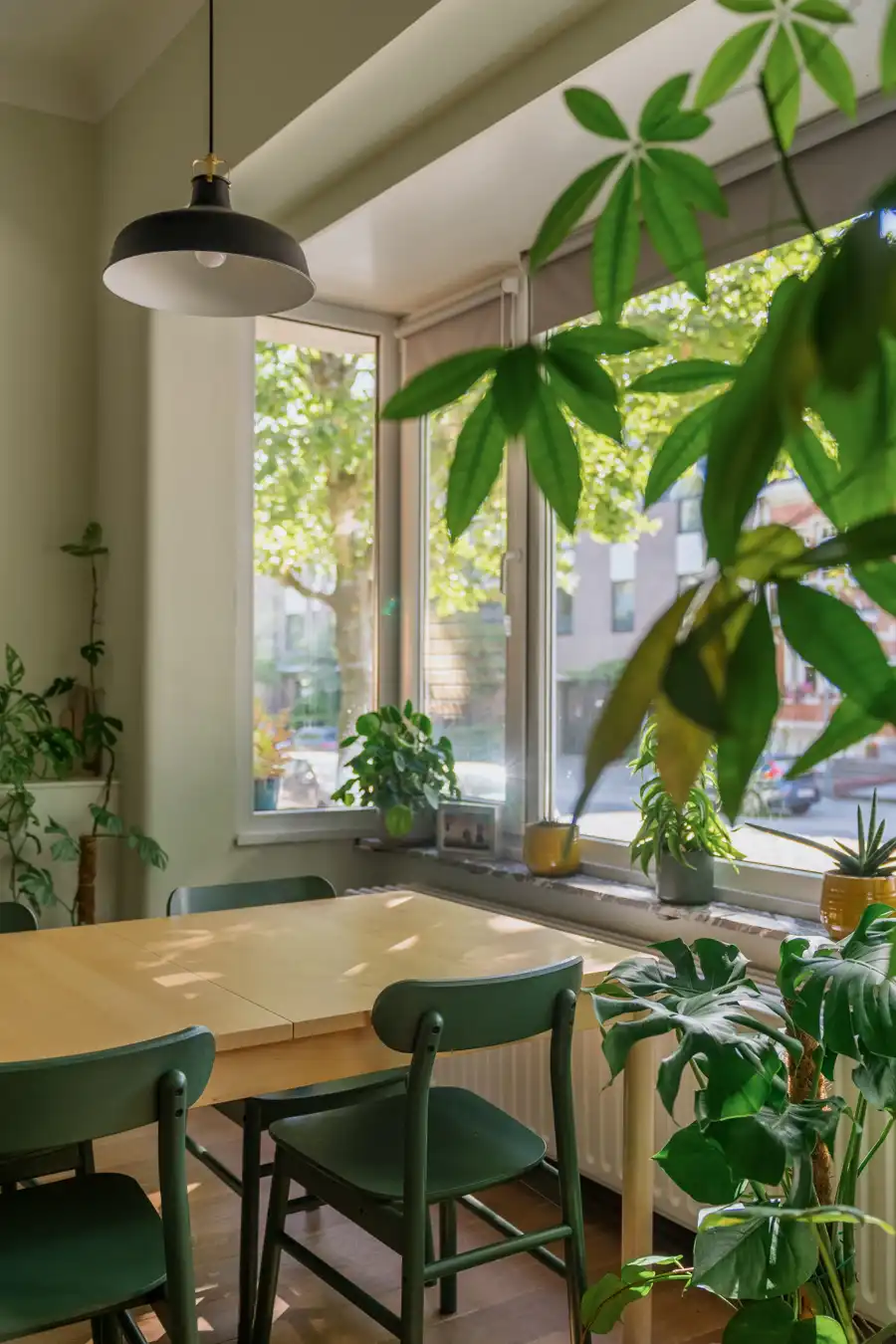 Green apartment met terras en Argentijnse vibes in de wijk Pulhof foto 3