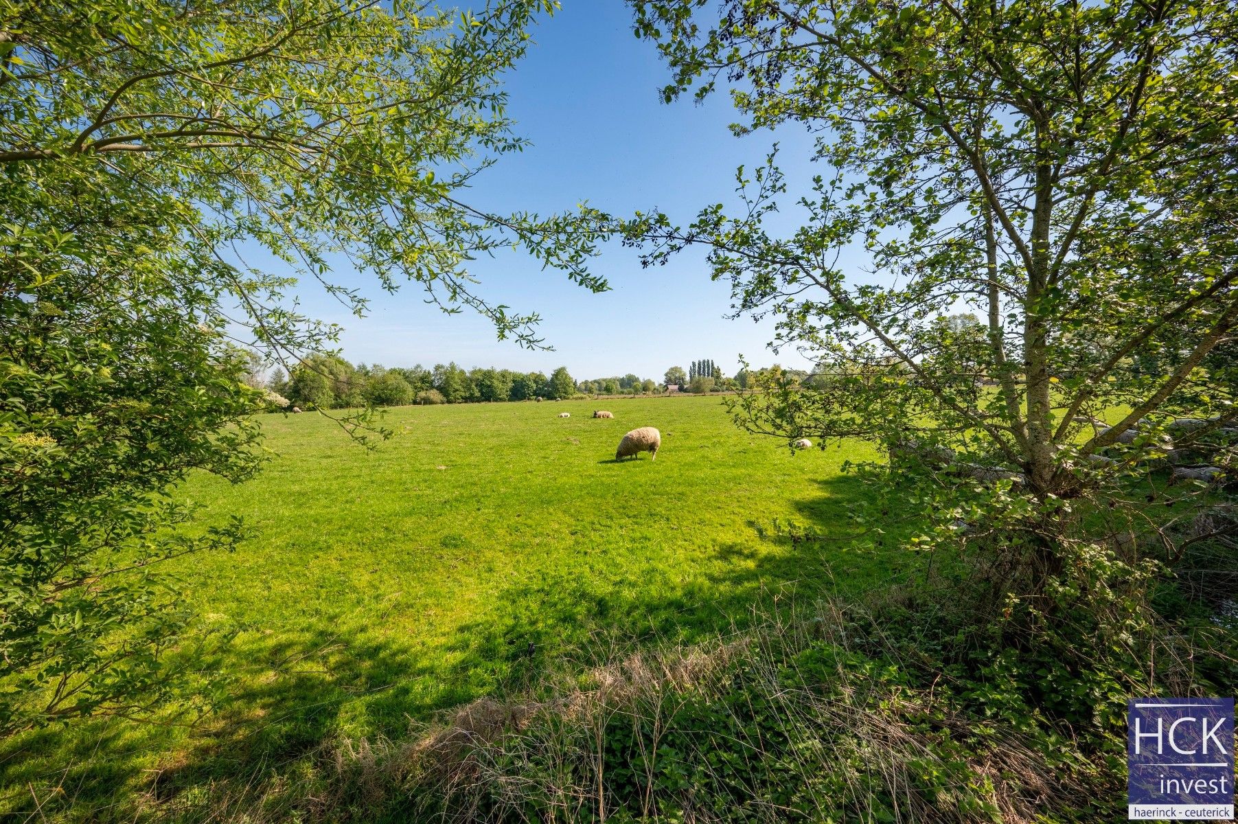 KRUISHOUTEM - Exclusieve landelijke woning met bijgebouwen, high-end afwerking!! foto 20