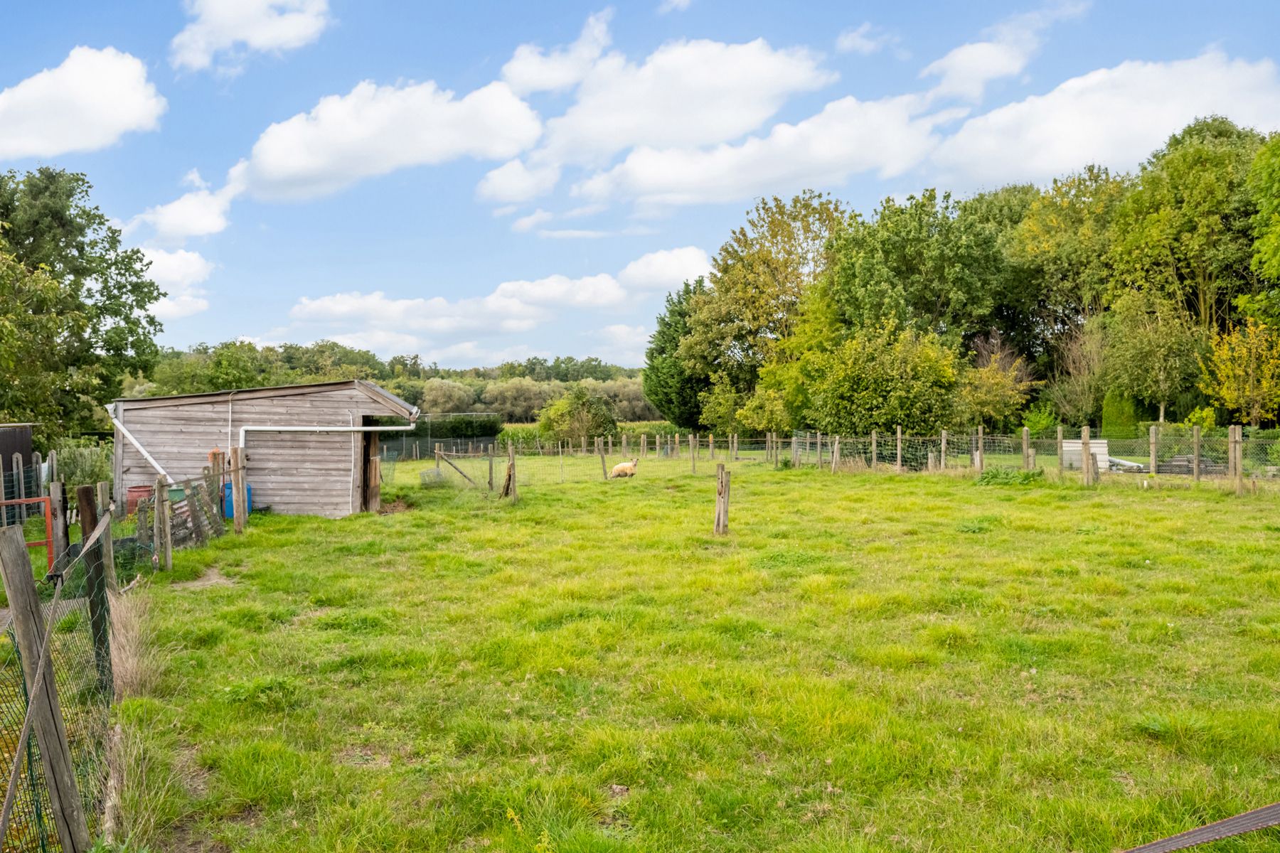 Unieke te renoveren boerderij  foto 10