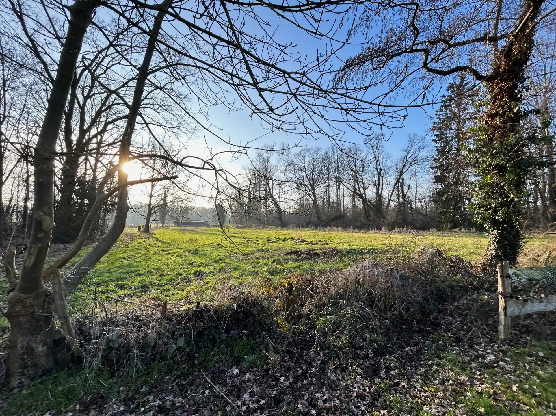 Grond te koop foto 5