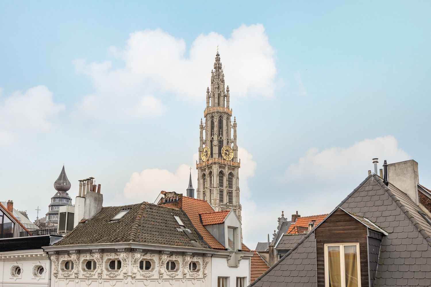 Stijlvol appartement op absolute topligging in historisch Antwerpen foto 21