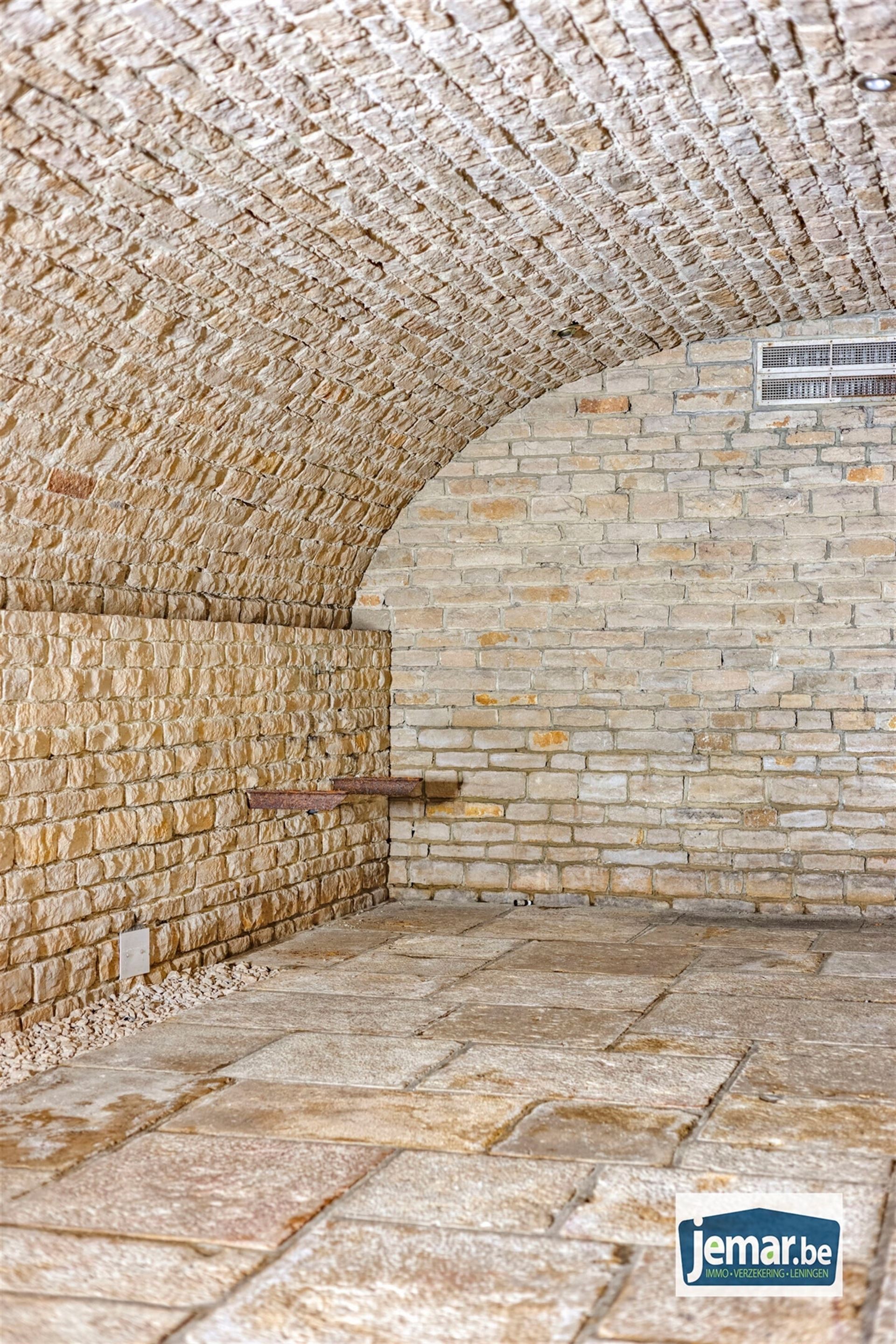 Villa met professionele opslagruimte, kelder en kantoorruimtes. foto 56