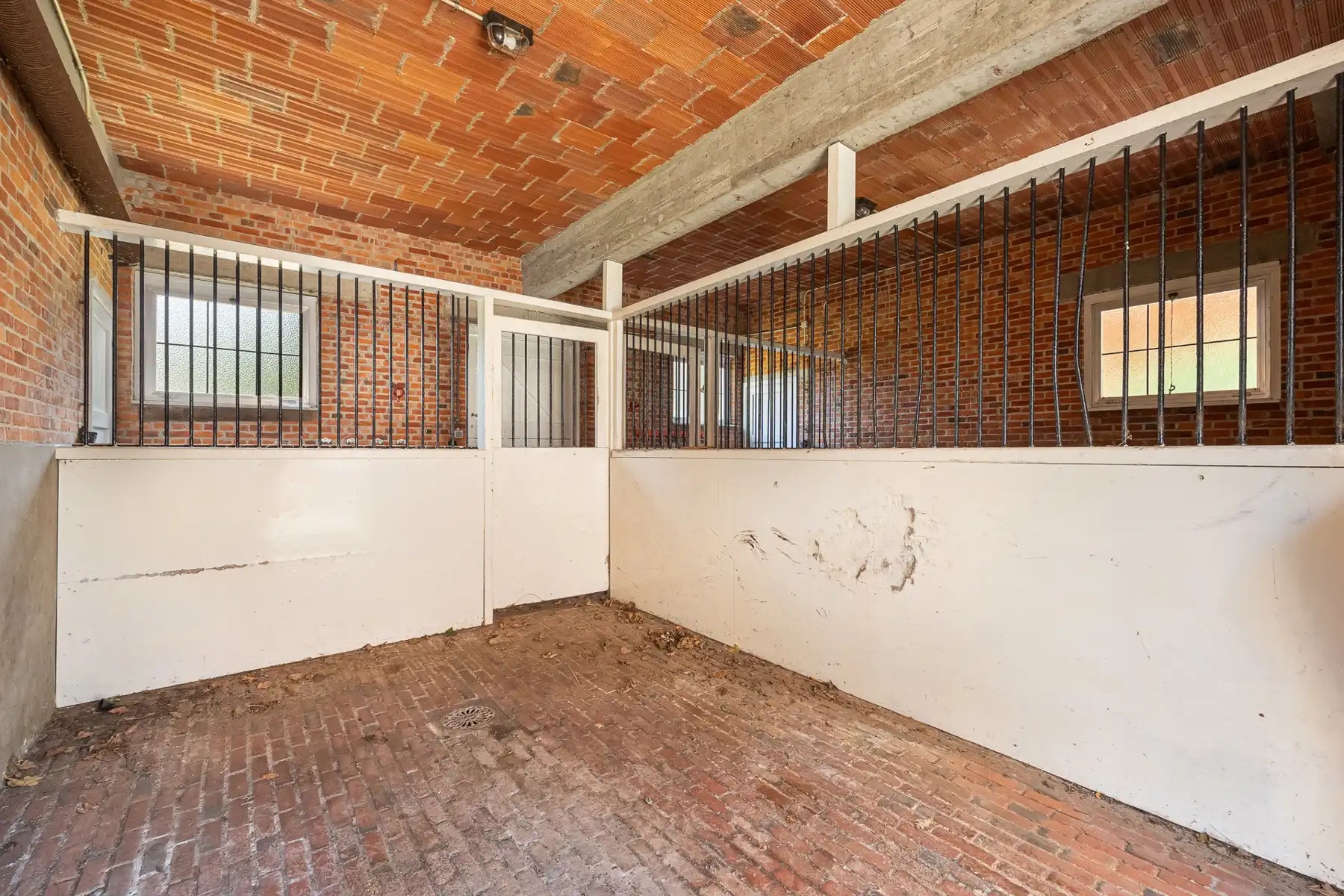 UNIEK PAARDENDOMEIN OP 28.870 M² foto 17