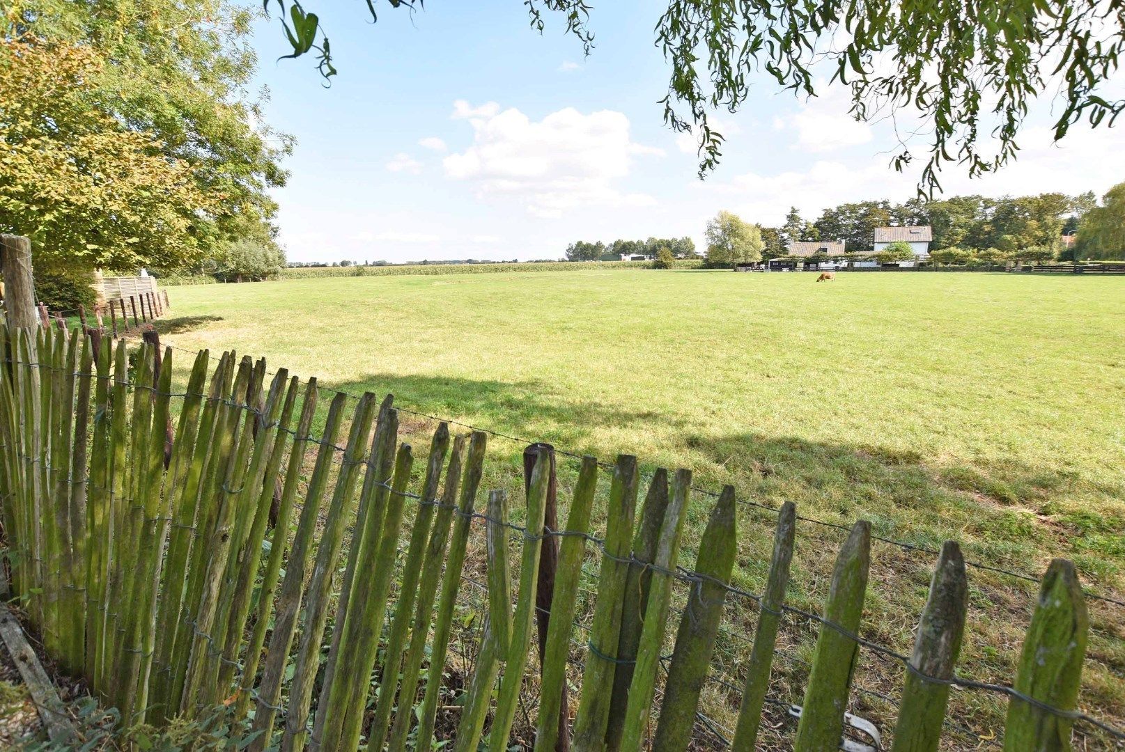 Charmante woning in Sint Anna ter Muiden met mooi uitgestrekt zicht!  foto 5