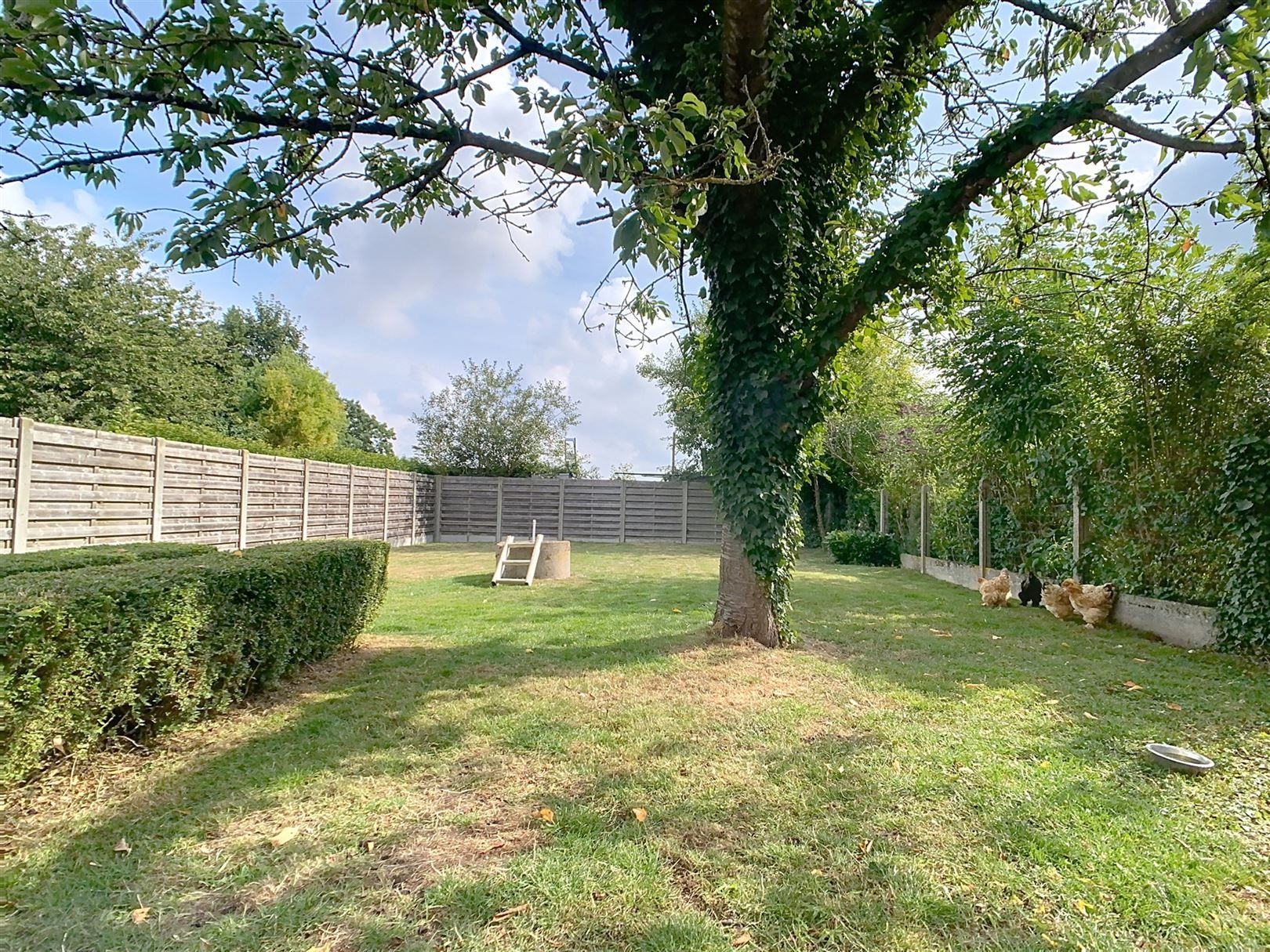 Charmante woning, 4 slpks, garage, terras, tuin, 4a 60ca foto 6
