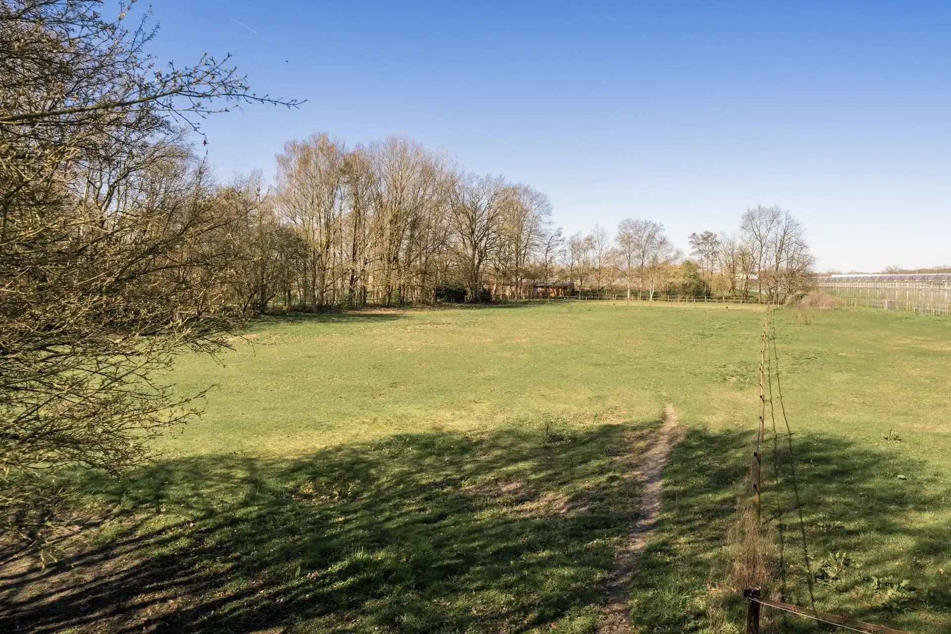 Exclusieve villa met paardenfaciliteiten  foto 21
