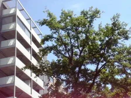 Appartement te huur Jan Habexlaan 15/4.1 - 3600 Genk