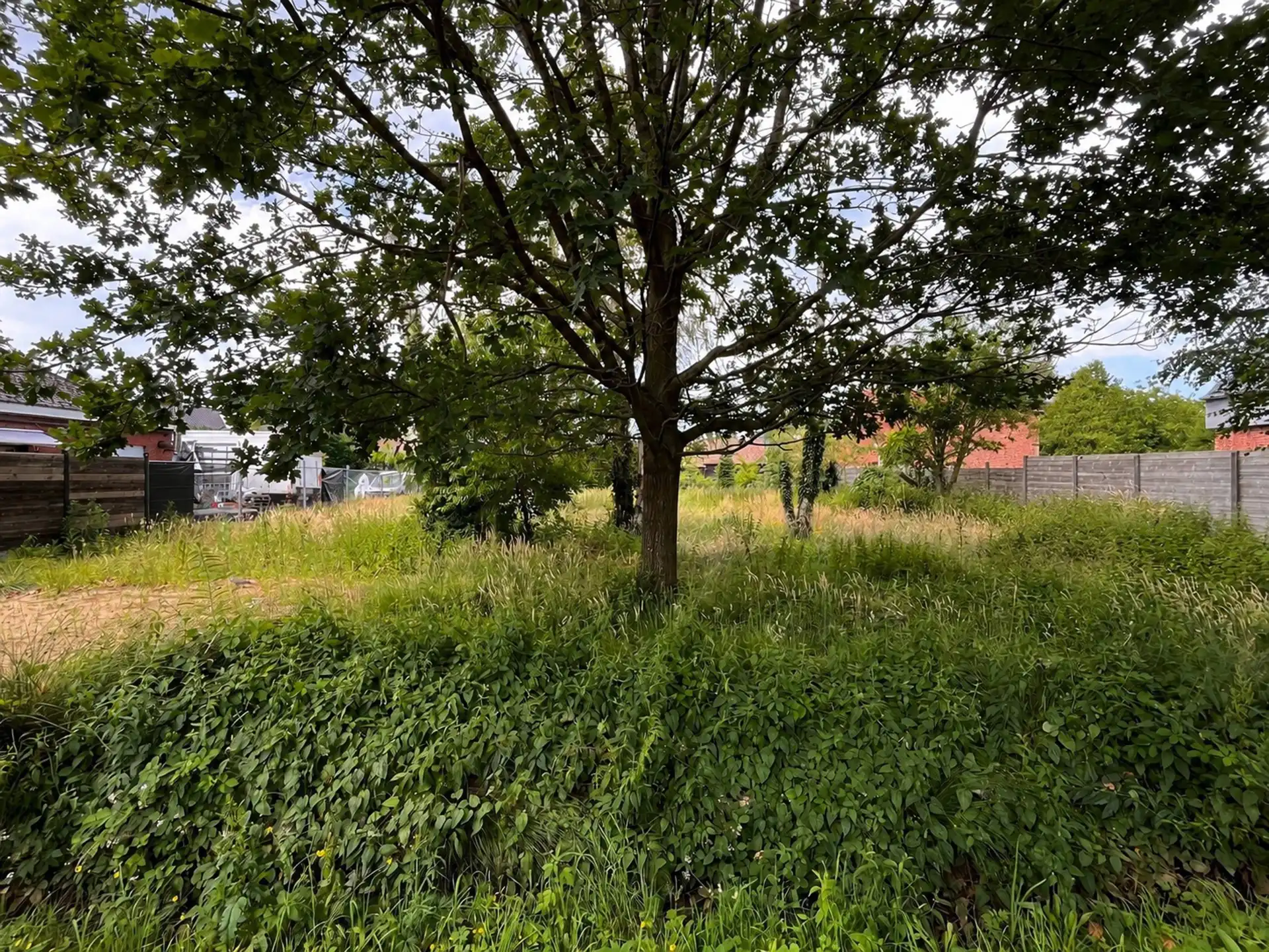 Bouwgrond voor open bebouwing op goede locatie in Zoersel foto 5