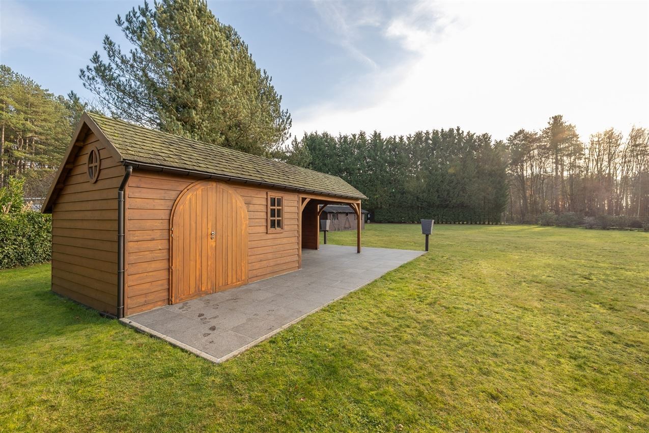 verborgen parel in het groen foto 29