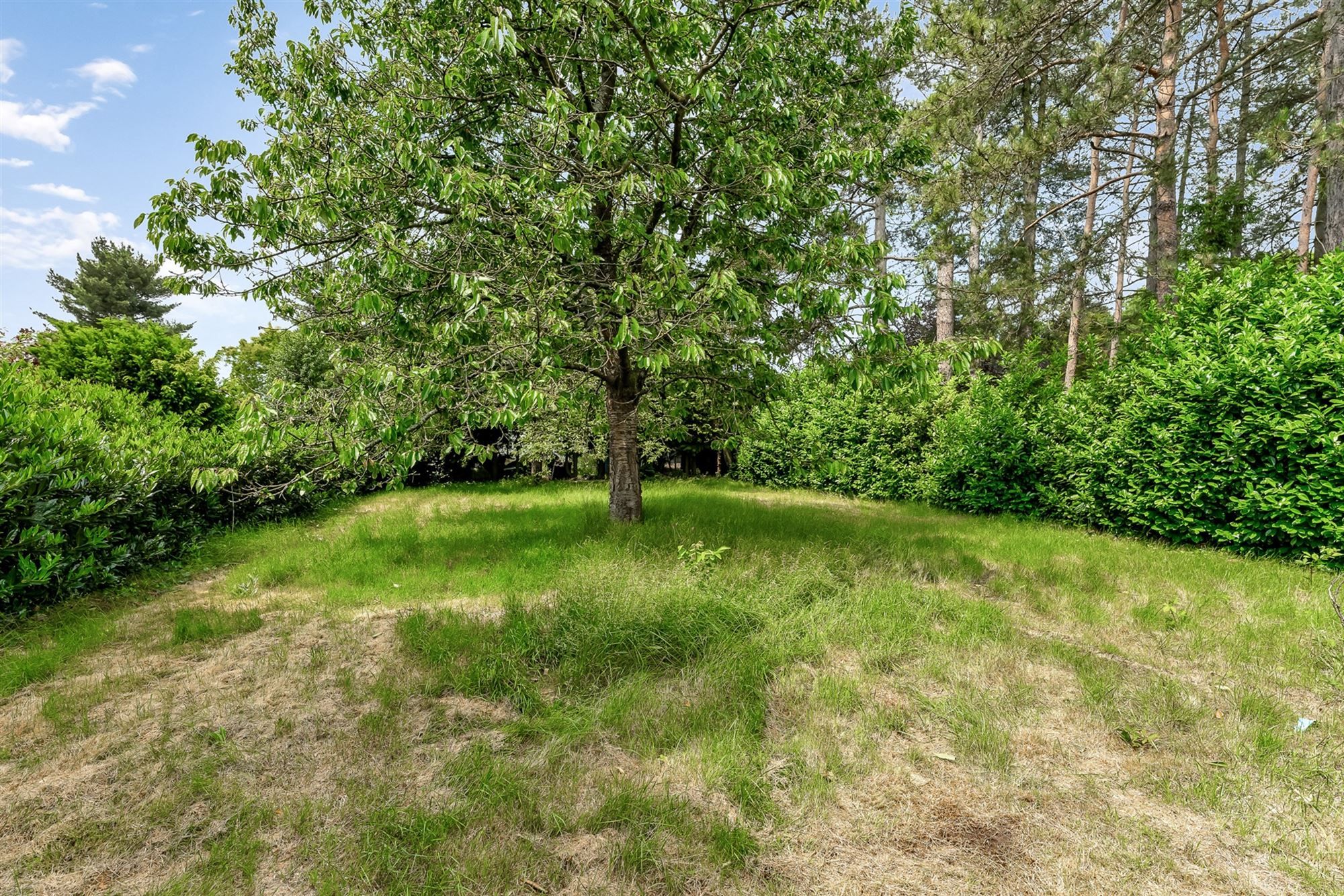 GELIJKVLOERSE WONING OP 2283M2 OP RESIDENTIËLE LIGGING foto 25