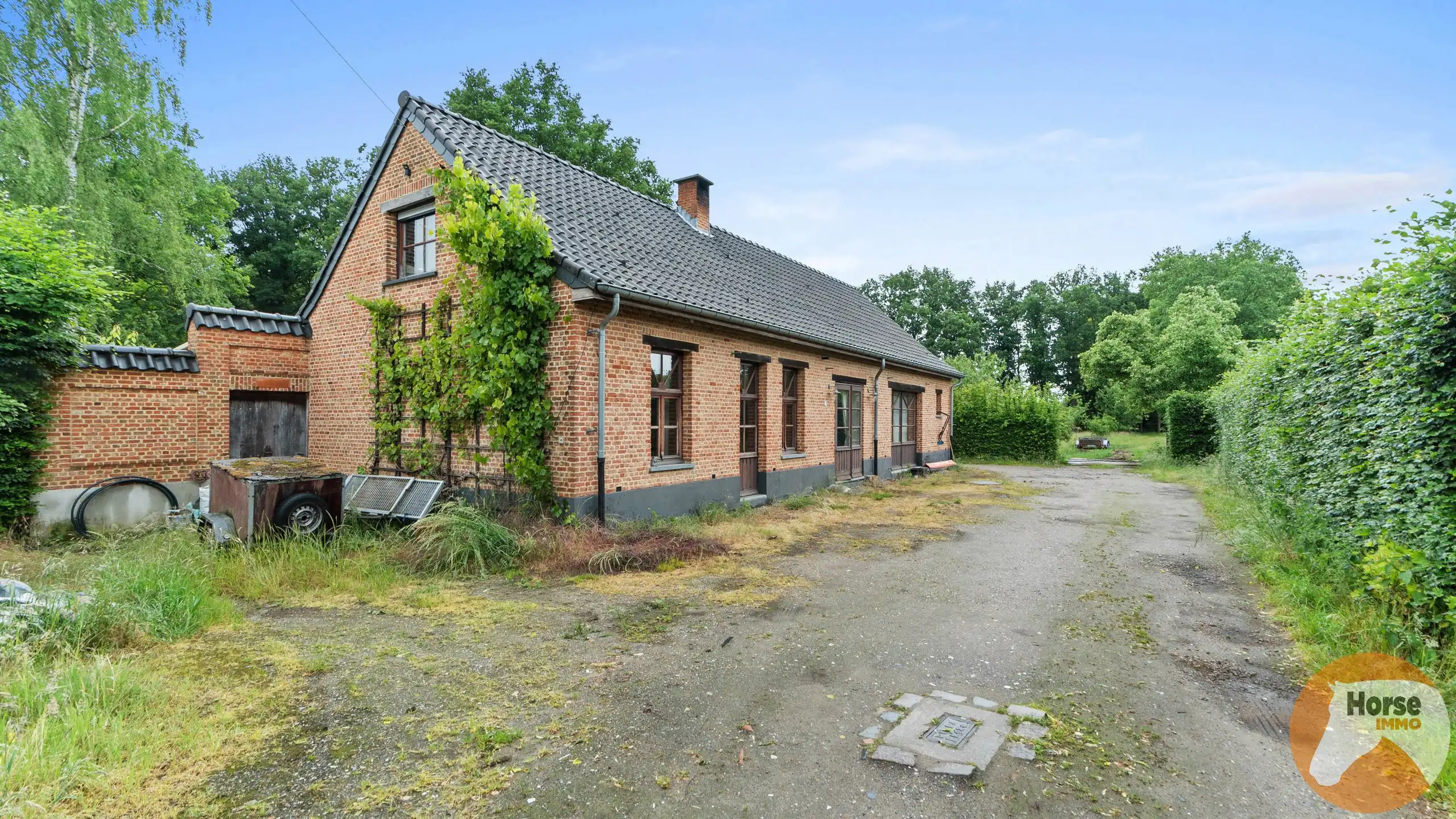 ITEGEM - Rustig gelegen woning en bijgebouw op 2,4Ha foto 7