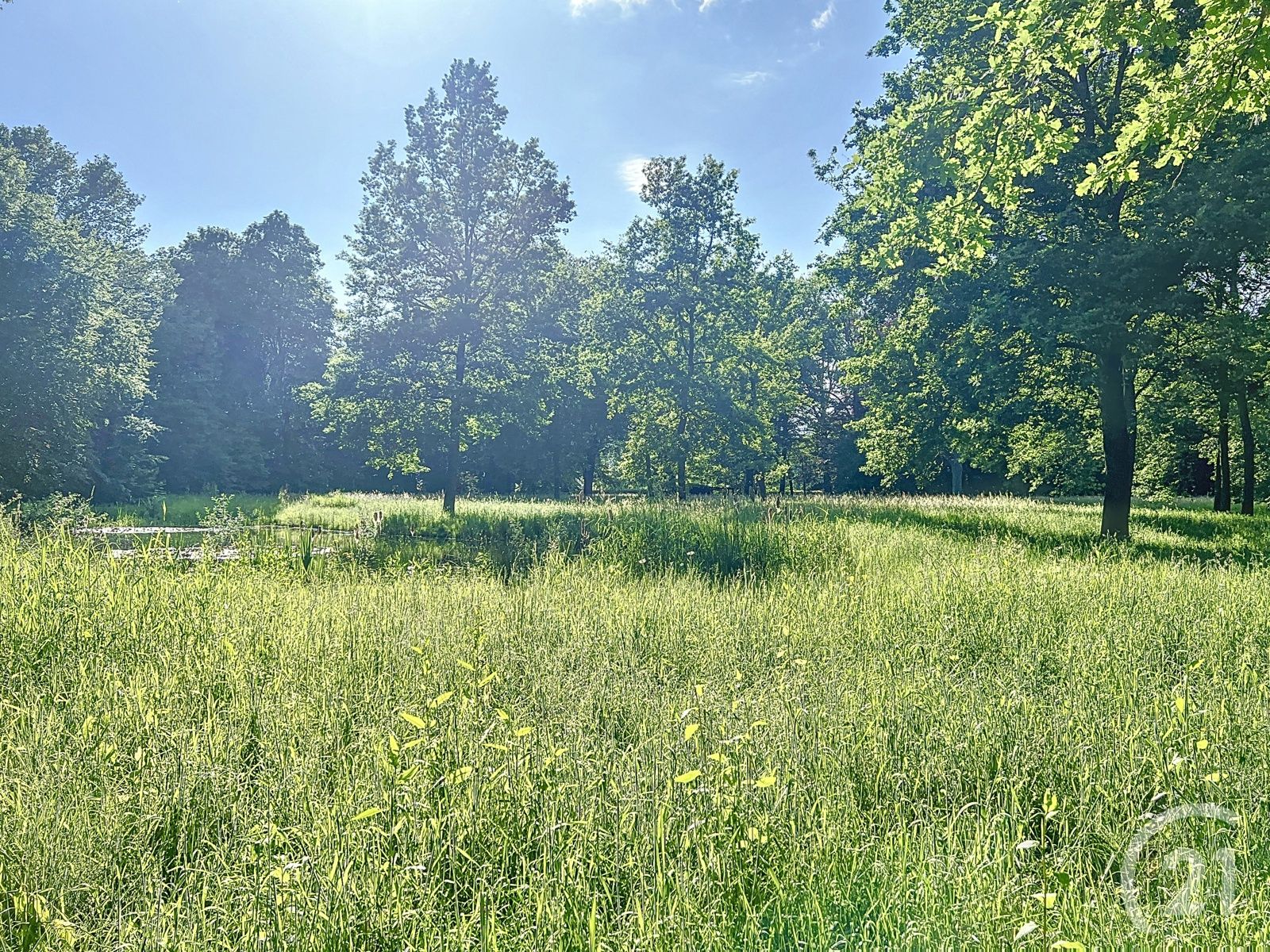 Uniek huis te koop in Halen! foto 50