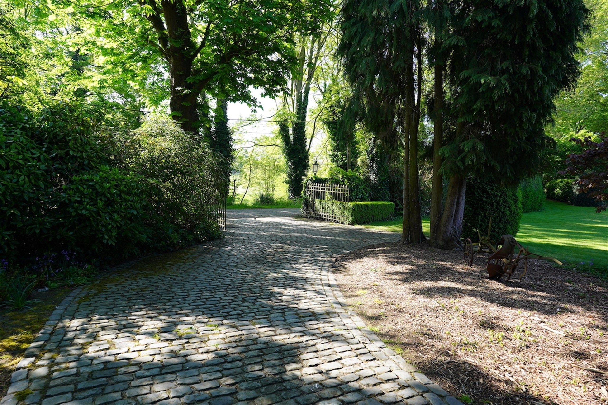 Opportuniteit! Eigendom op 1 Ha met buitengewone privileges foto 13