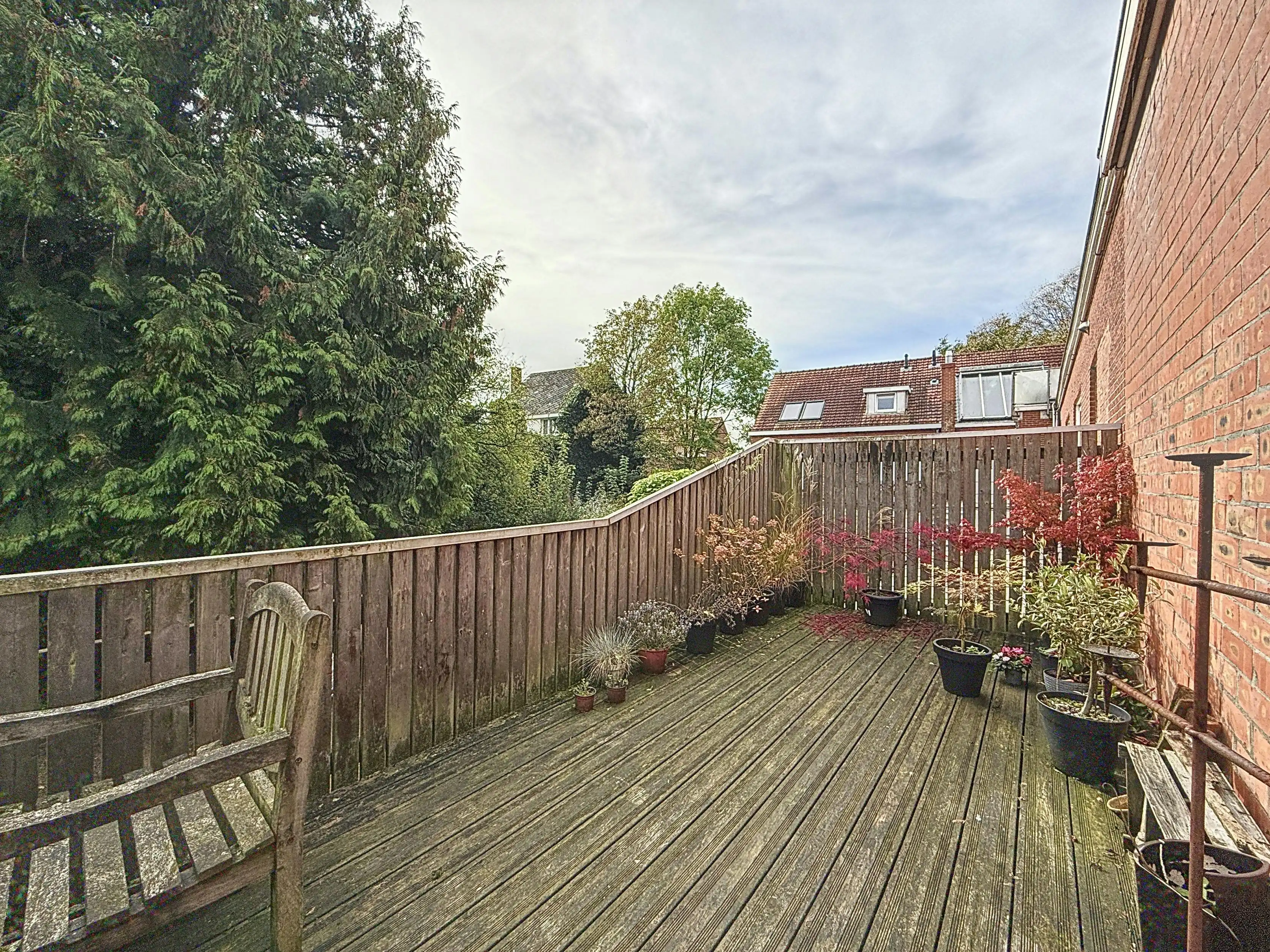 Vastgoedvennootschap te koop in Essen, Antwerpen foto 20