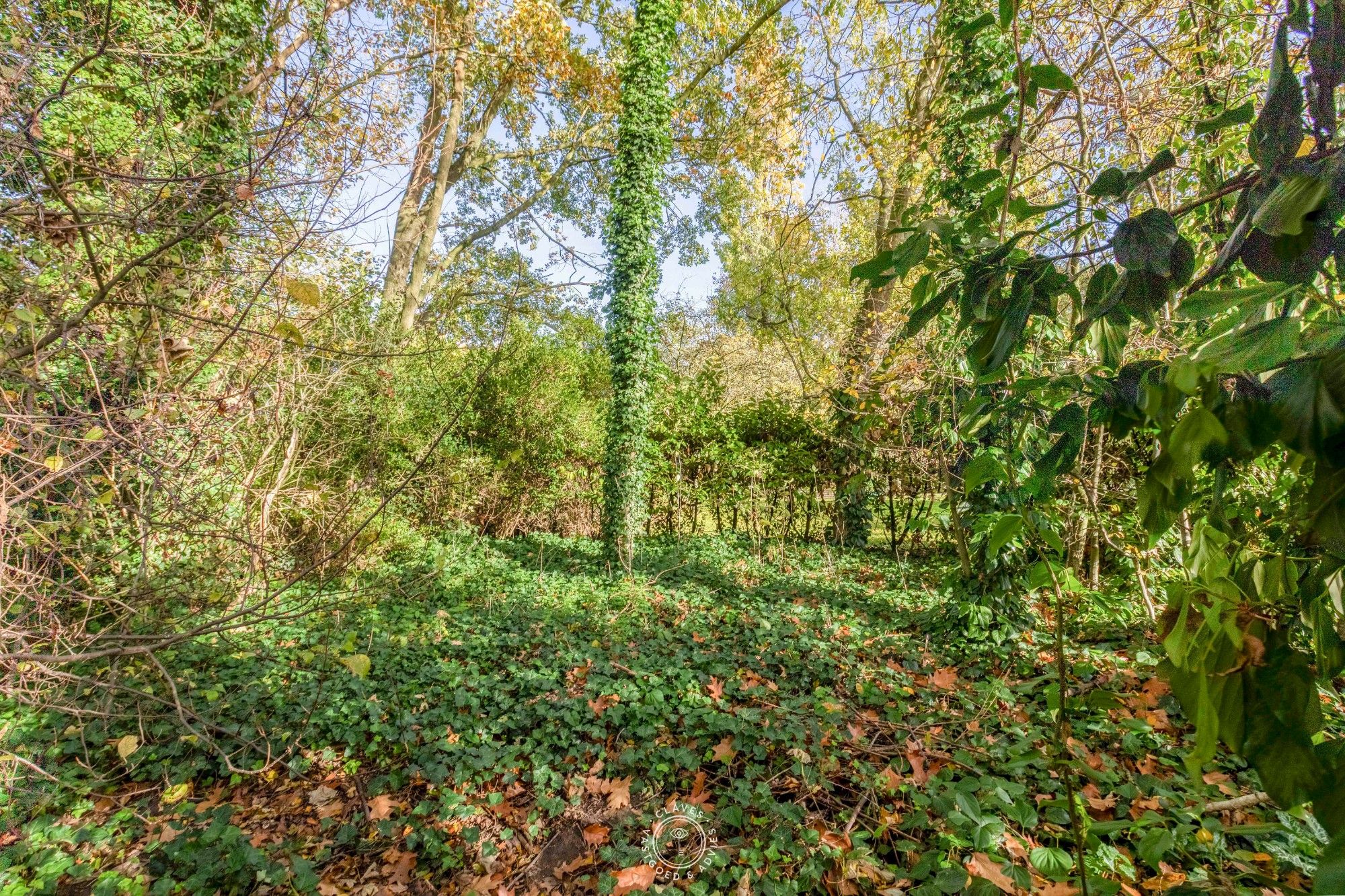 Een thuis met ruimte, rust en groen in de rand van Sint-Niklaas foto 9