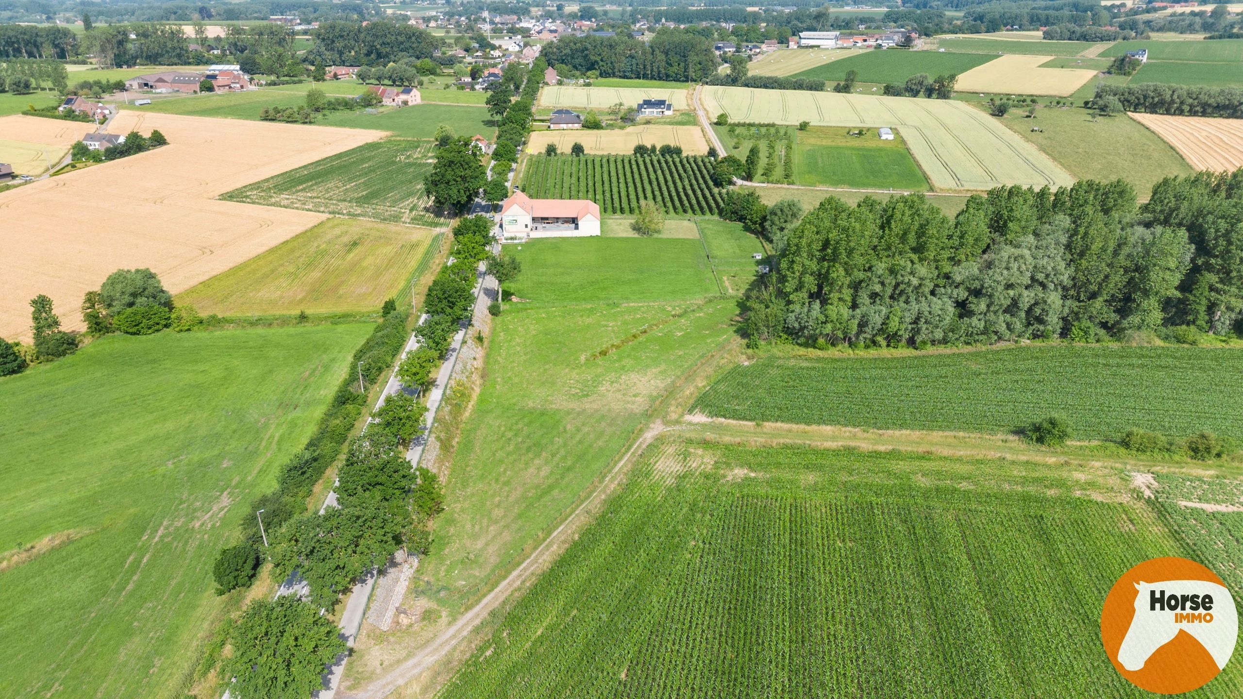 PEPINGEN - Smaakvol gerenoveerde hoeve met aanpalende weide  foto 29