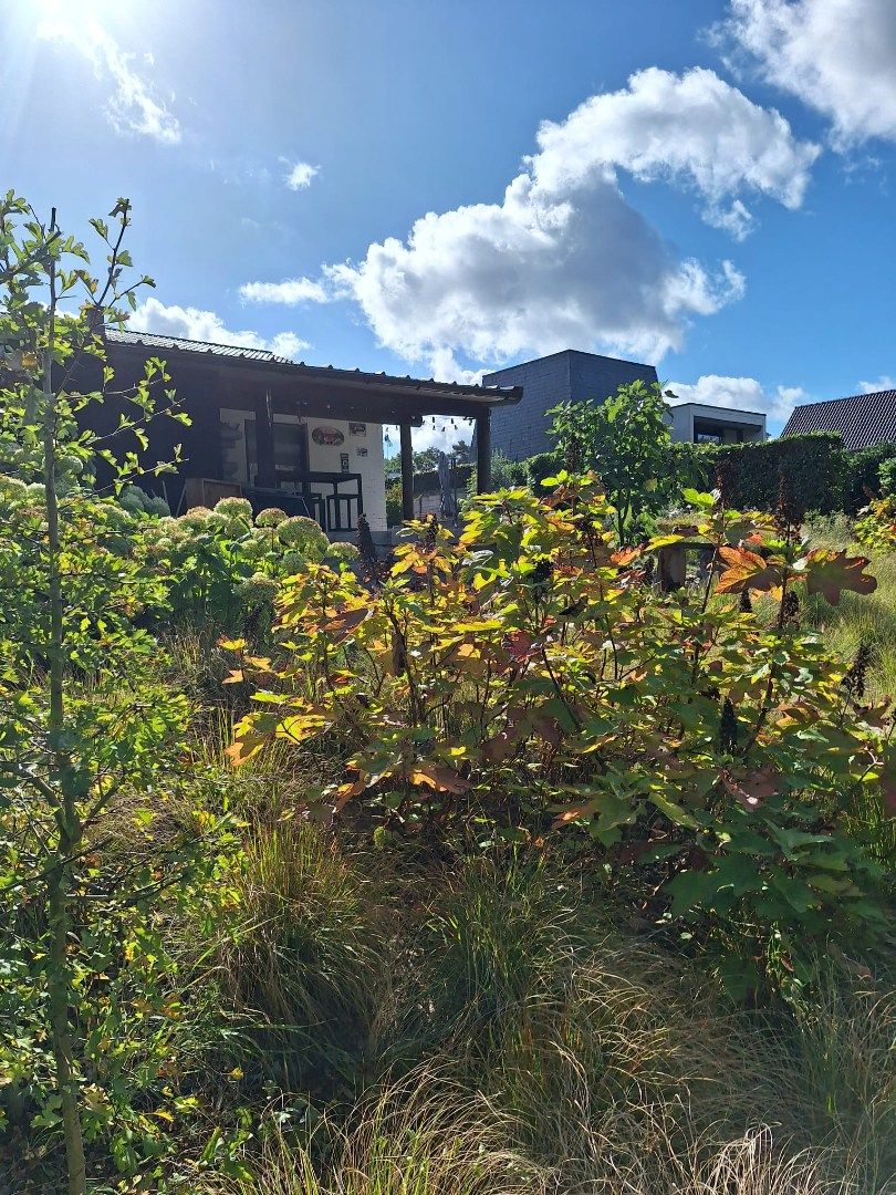 Ruime woning met 4 slaapkamers foto 32
