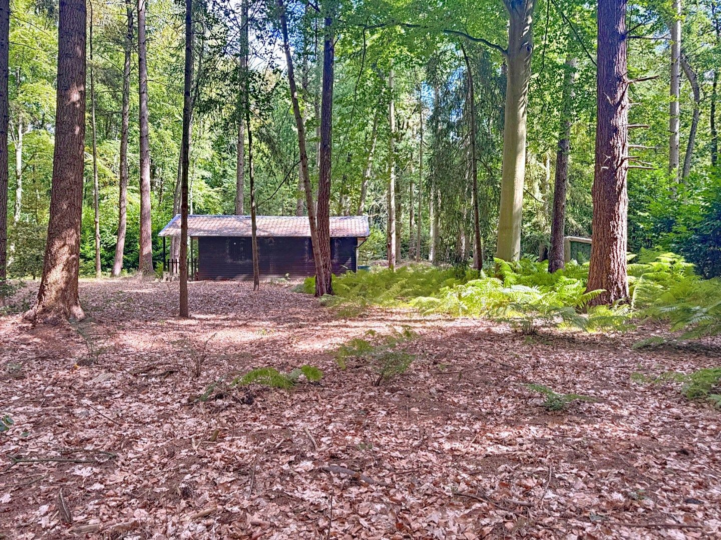 Perceel bosgrond met schuilhuisje  foto 9