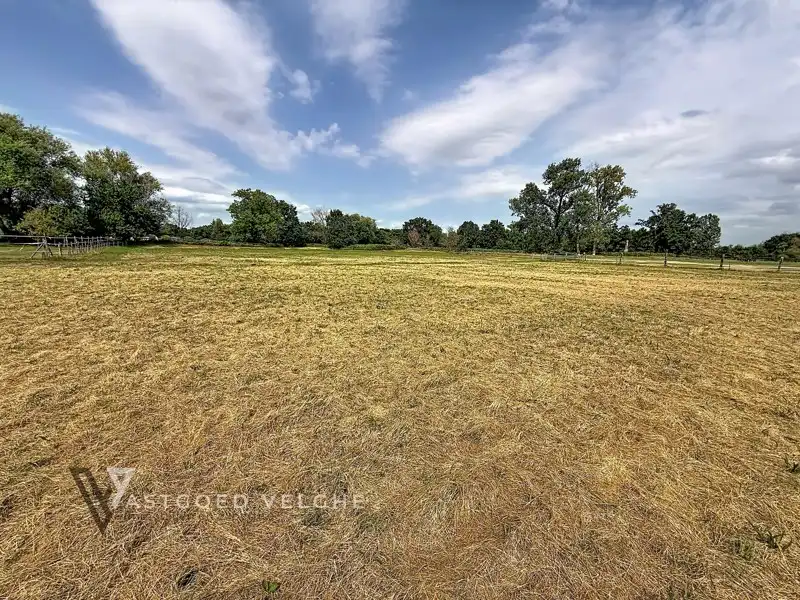 Woning met 3 slaapkamers op uitzonderlijk perceel van 1,63 hectare in groene omgeving foto 44