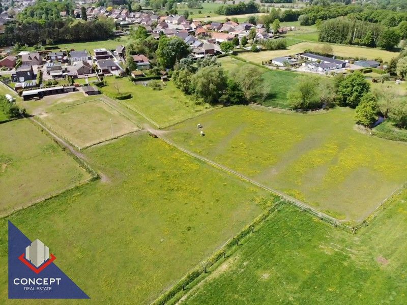 Instapklare woning met 3 slaapkamers met achterliggende paardenweides. foto 51