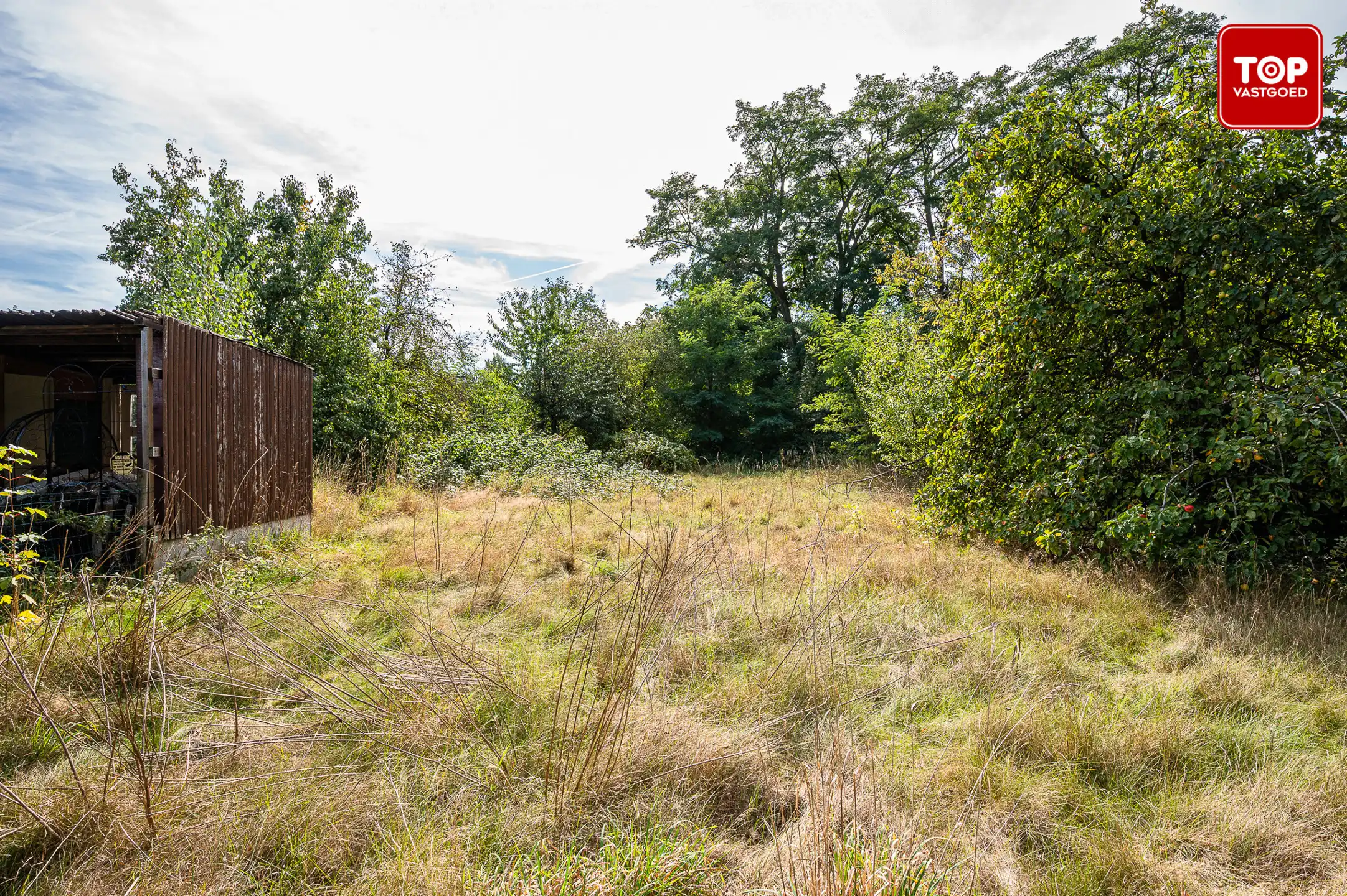 Ruim perceel op een Top locatie in Mariakerke foto 2