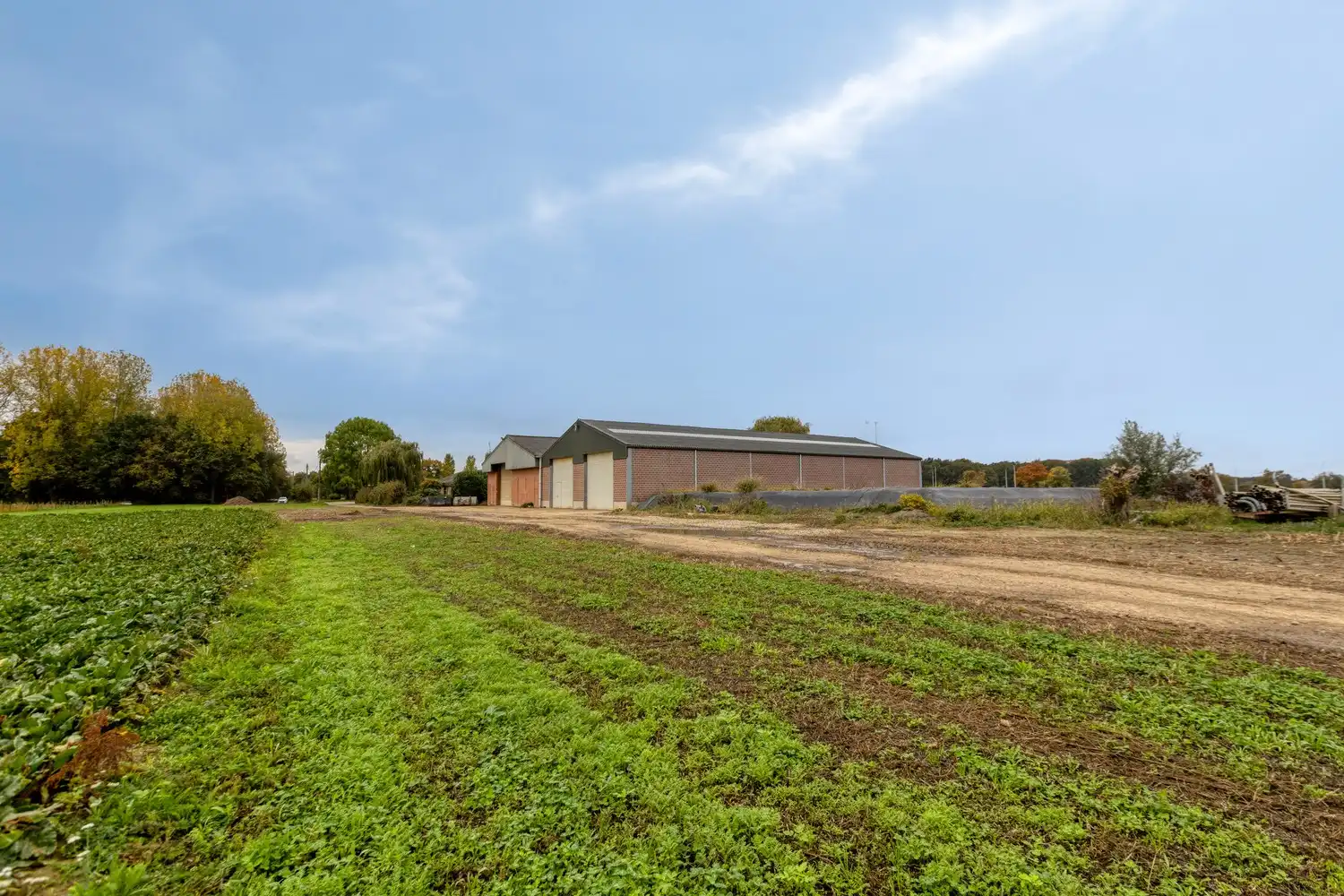 Prachtige boerderij op 1,4 hectare grond in Rekem/Lanaken foto 4