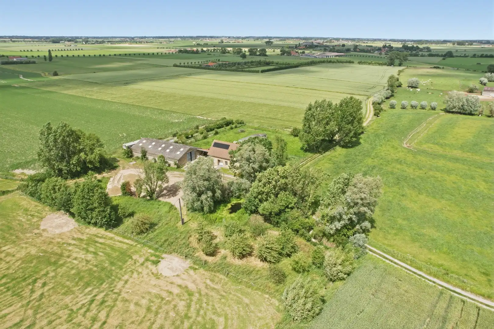 Recente open bebouwing (2019) op een perceel van maar liefst 44.888 m² foto 8