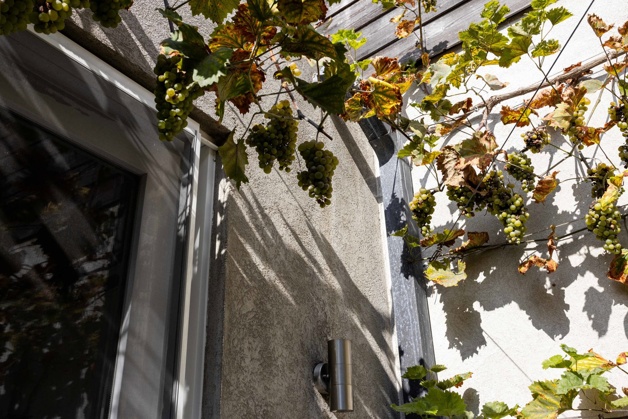 Energiezuinige, karaktervolle woning met 3slpks en stadstuin foto 7