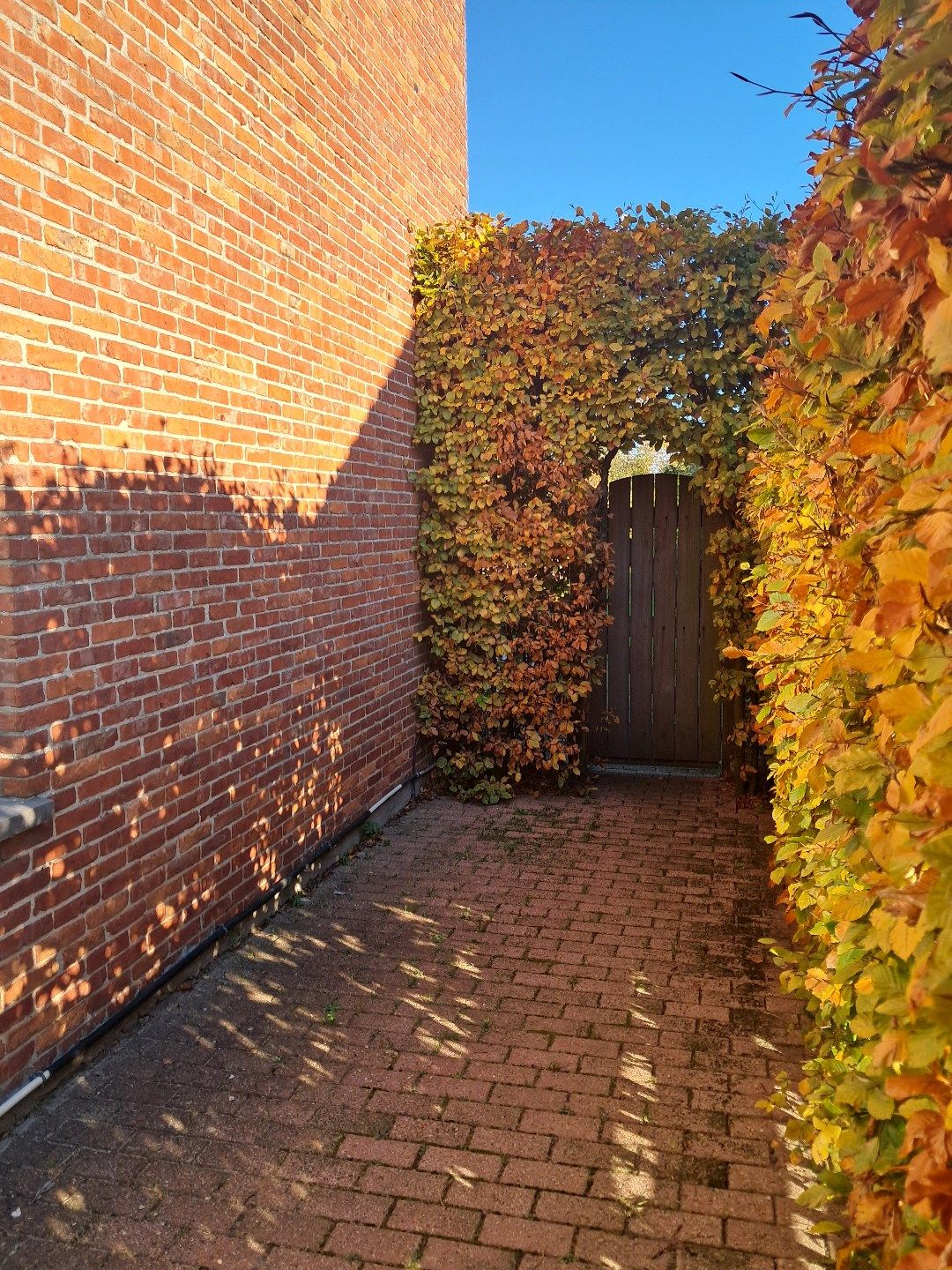 Woning met leuke tuin! foto 2