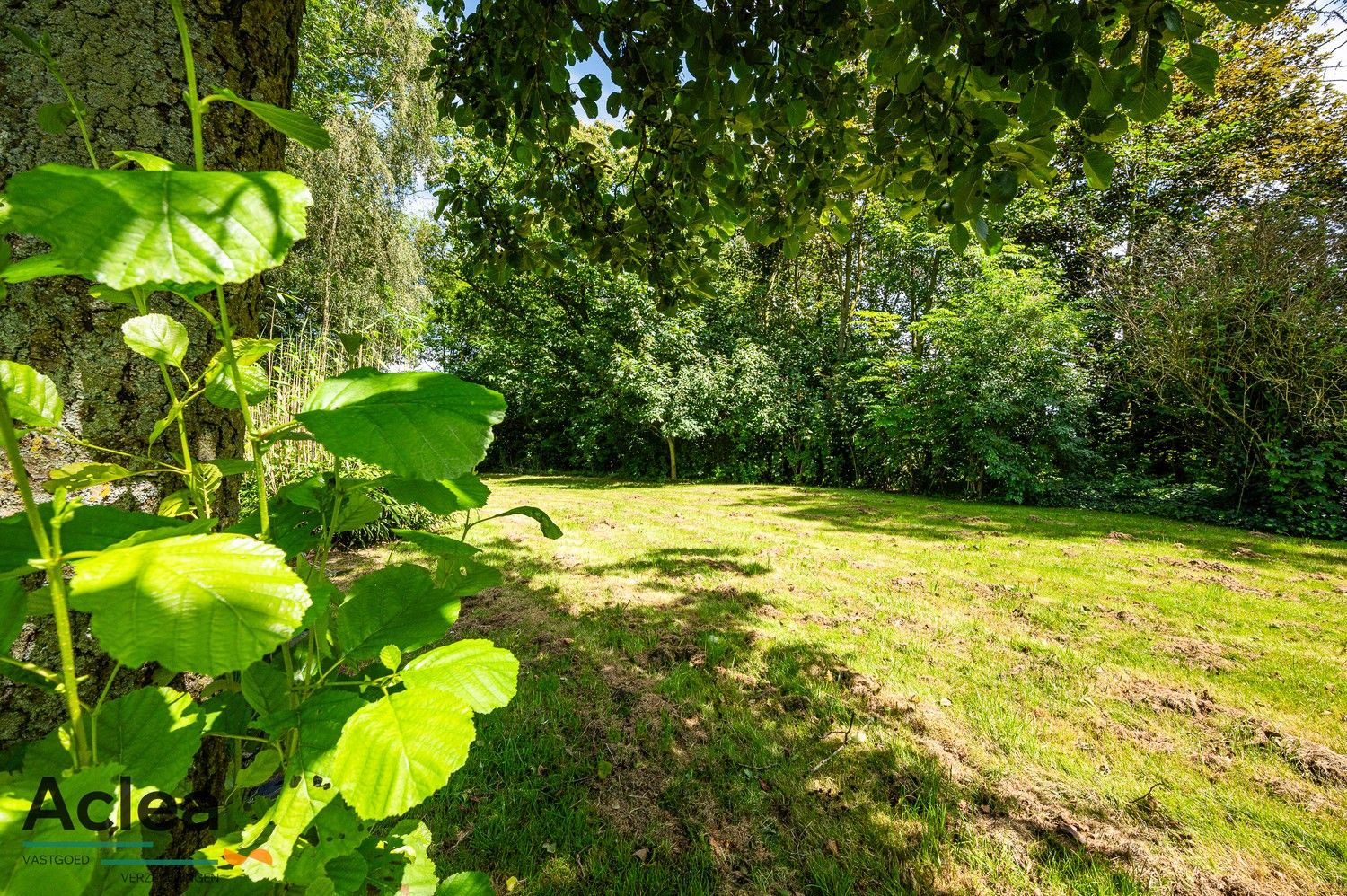 Landhuis op een idyllische locatie te midden het krekengebied foto 4