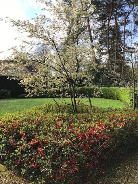 Instapklare luxevilla op toplocatie foto 28