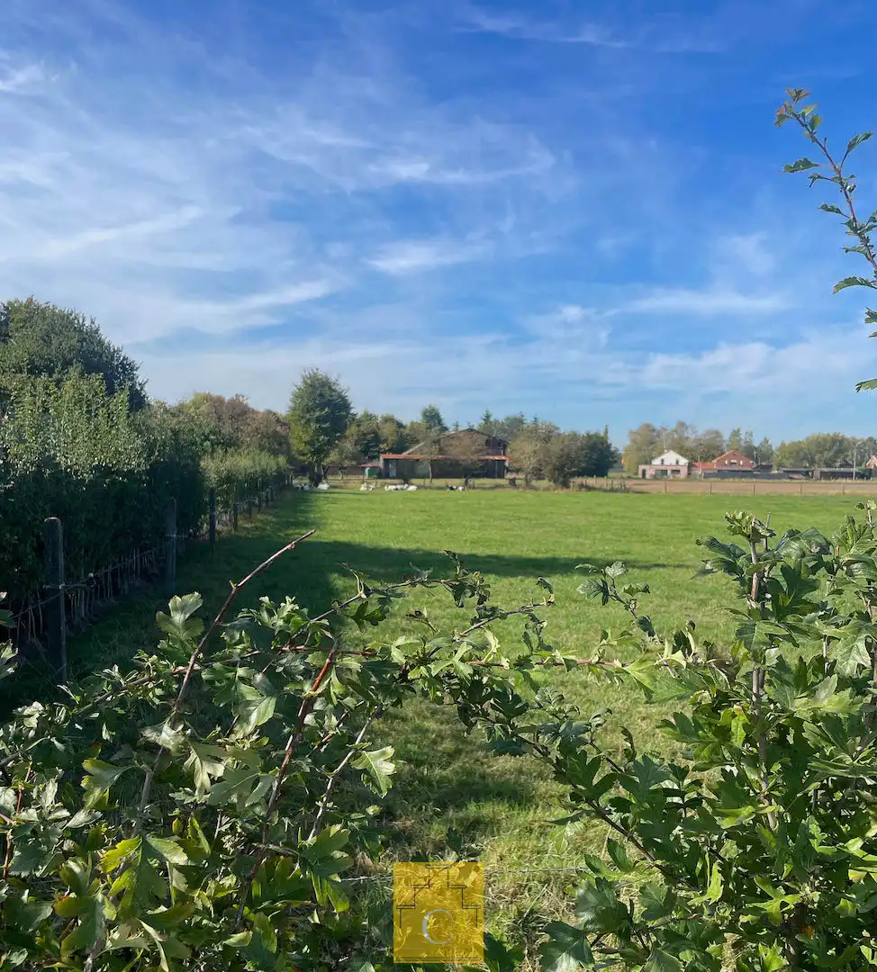 Boerderij met nieuwbouwloods (+400M2) en woning op 11.776 m² foto 7