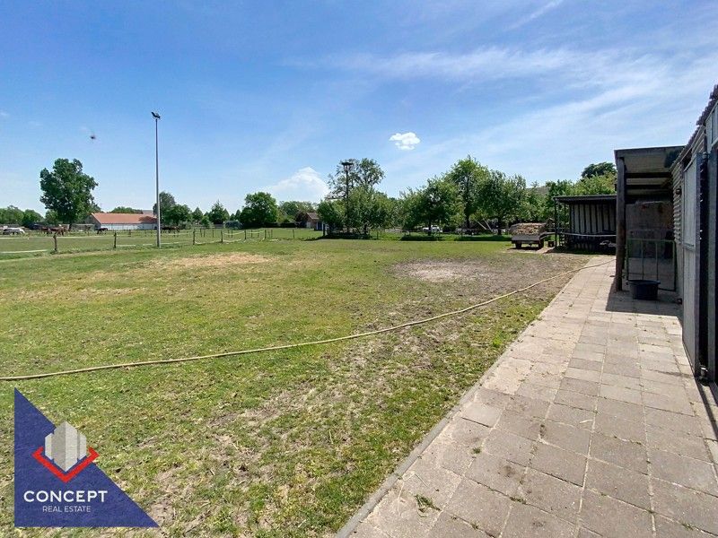 Instapklare woning met 3 slaapkamers met achterliggende paardenweides. foto 38
