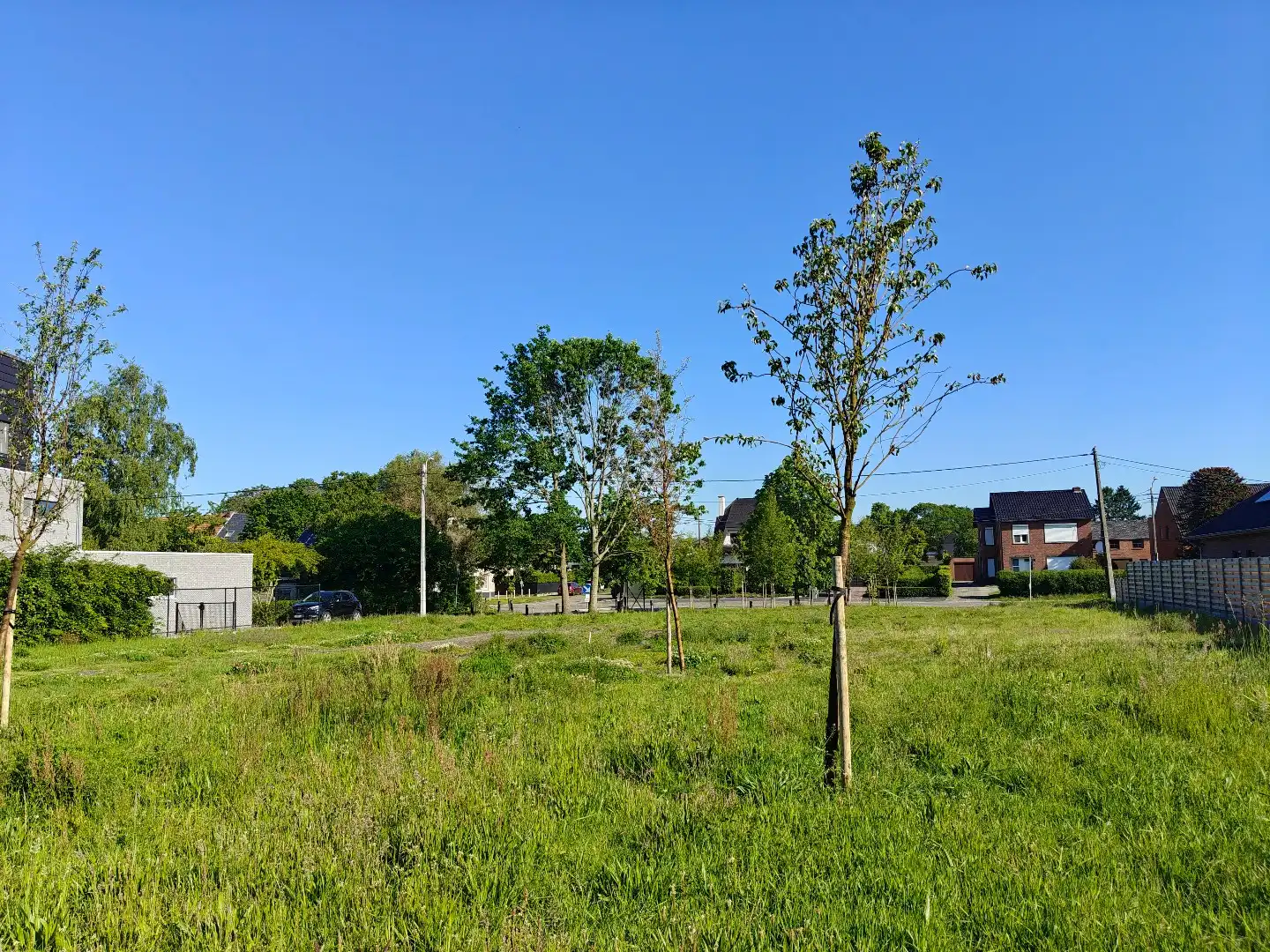 Ruime bouwgrond van 2.292 m² voor een open bebouwing!  foto 5